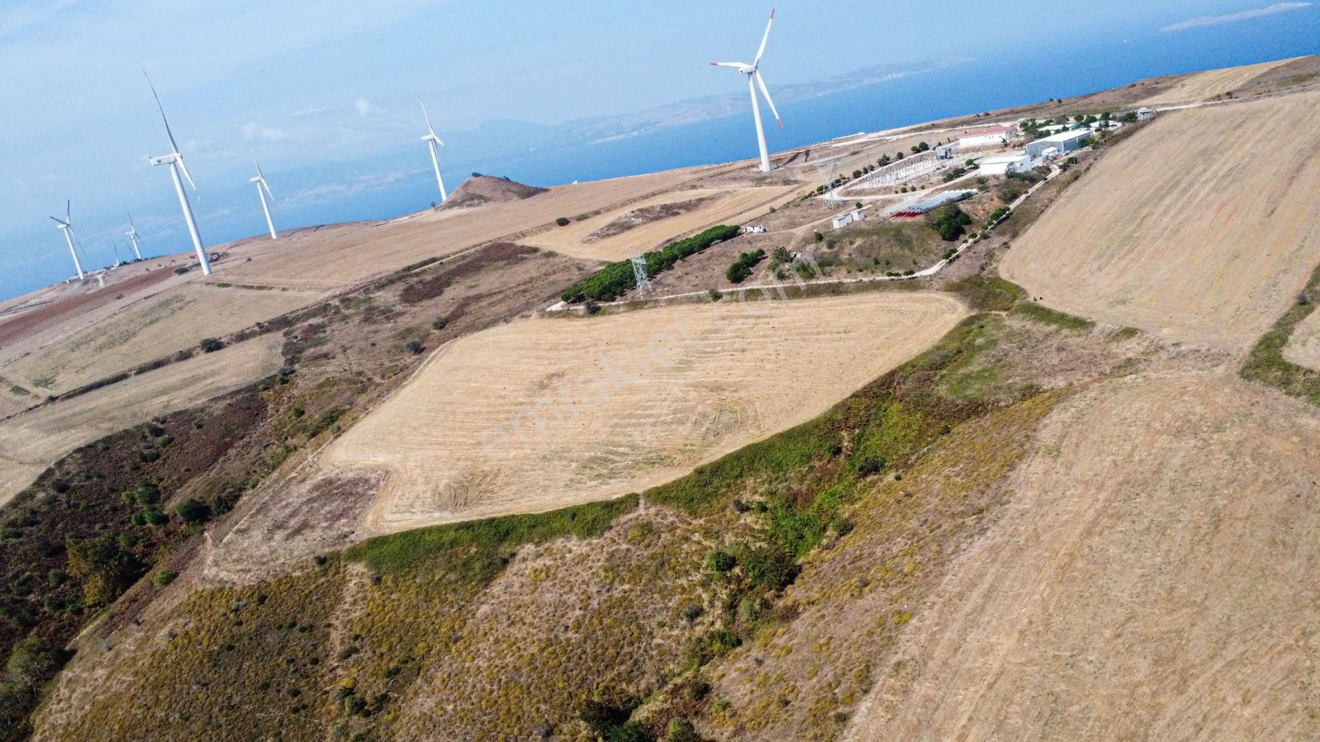 🟨⬛lıon Emlak'tan Bandırma Erikli Mahallesinde Harika Konumda Yatırımlık Harika Fırsat Arazi⬛🟨 - Görsel 9