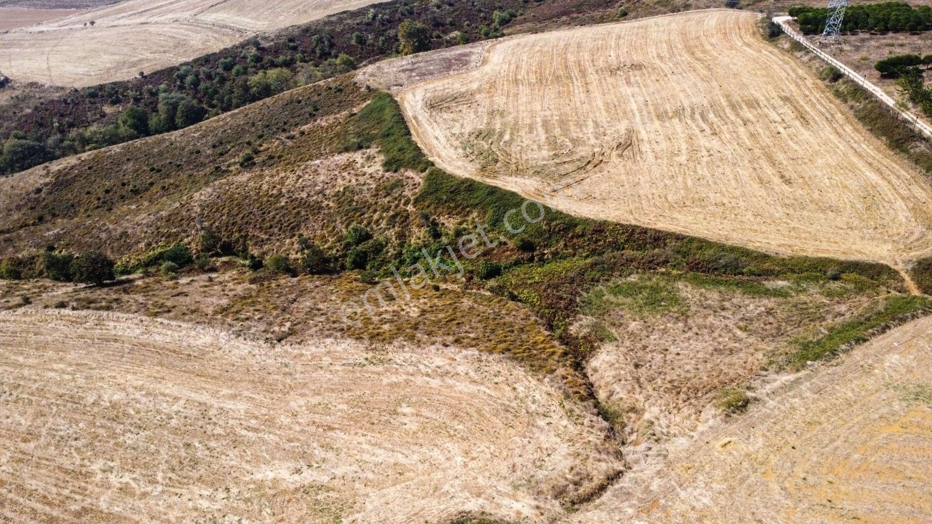 🟨⬛lıon Emlak'tan Bandırma Erikli Mahallesinde Harika Konumda Yatırımlık Harika Fırsat Arazi⬛🟨 - Görsel 6