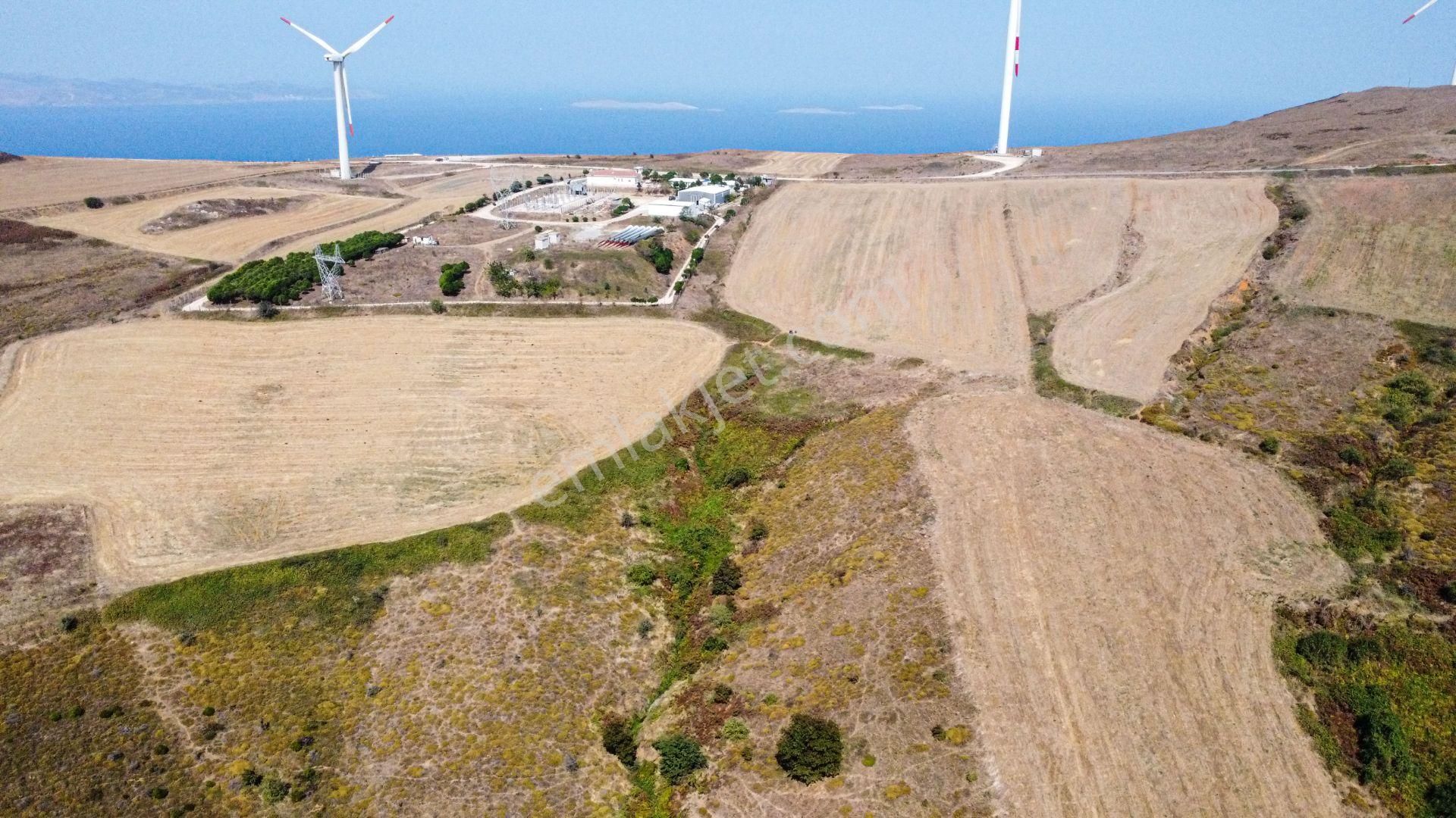 🟨⬛lıon Emlak'tan Bandırma Erikli Mahallesinde Harika Konumda Yatırımlık Harika Fırsat Arazi⬛🟨 - Görsel 12