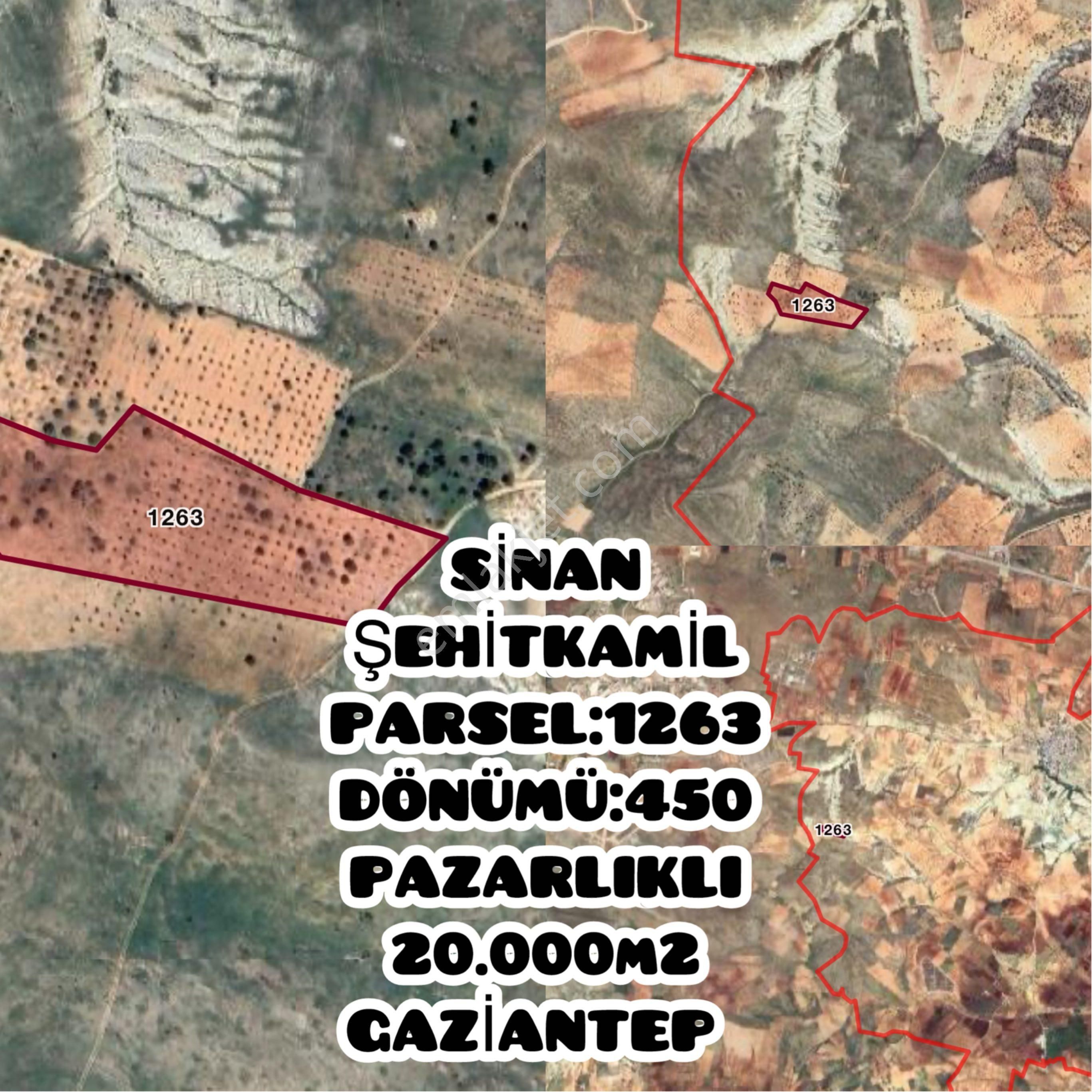 ✅ Yatırımlık Fırsat! Şehitkamil Sinan’da Tek Tapu, Fıstık Ağaçlı 20.000 M² Tarla