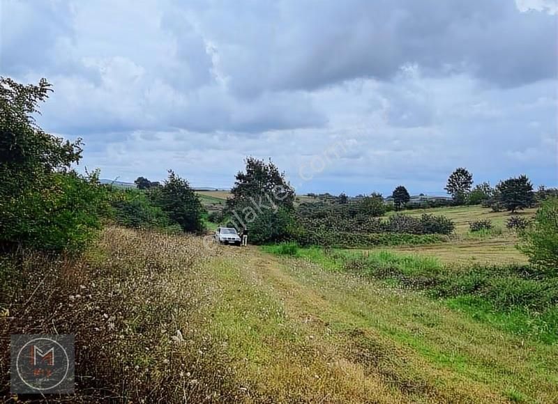 Sakarya Kaynarcada Yatırım Bölgesinde 6.160 M² Tek Tapu Arazi - Görsel 6