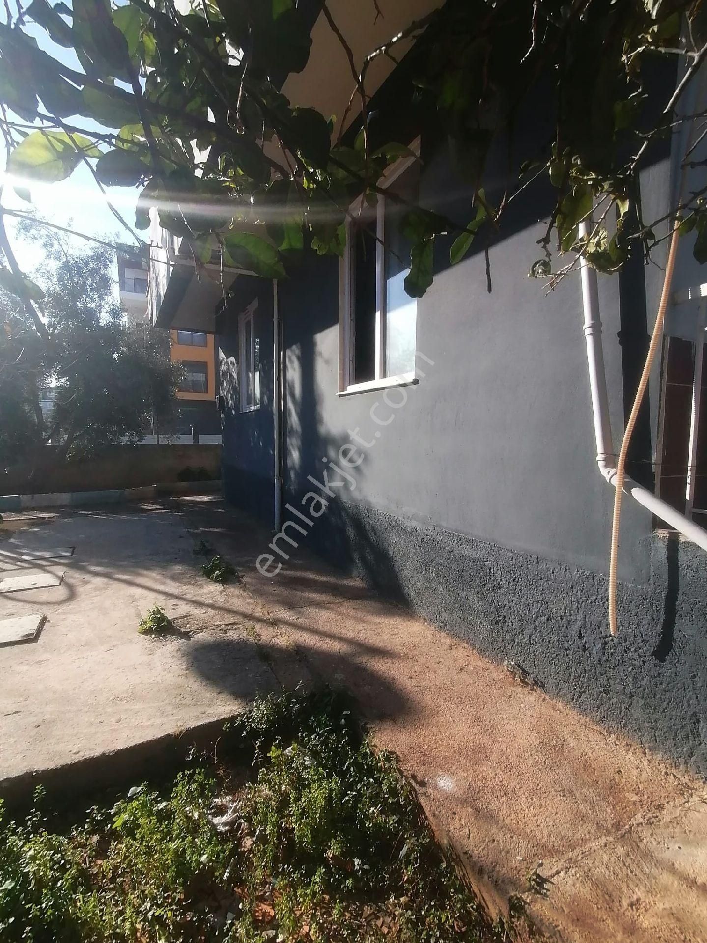 Kepez Şelale’de Satılık | 319 M² Arsada Giriş +2 Katlı | Yüksek Kira Getirili Komple Bina - Görsel 15