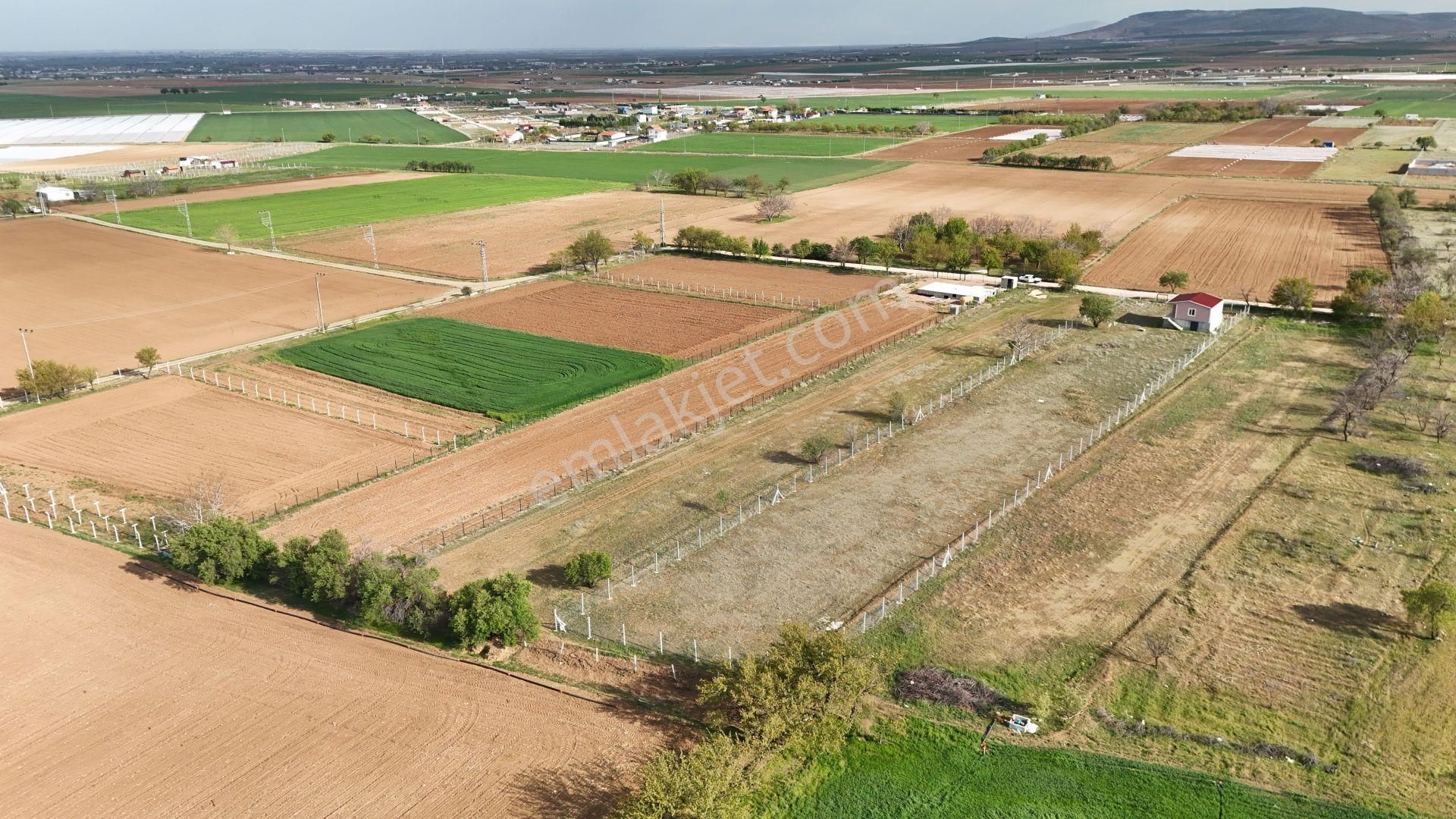 Gödene'de 3.204 M² Müstakil Tapulu Suyu Olan Bahçelik Süper Konum - Görsel 6