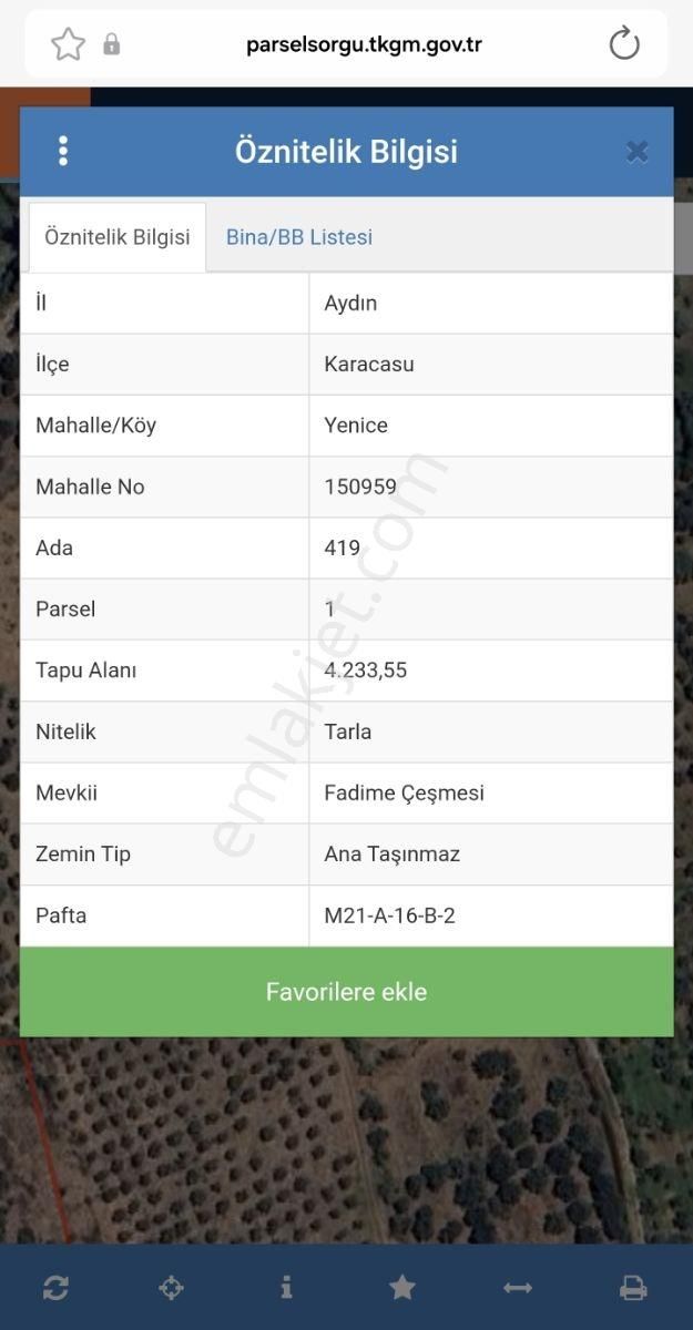 Şentürk Gayrimenkul | Karacasu Yenice | 4.233 M2 Zeytinlik - Görsel 2