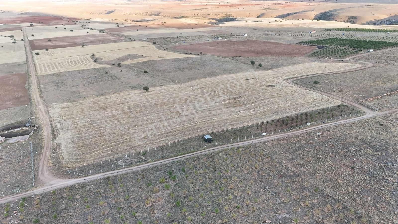 Net Emlak'tan Sızma Fevzi Çakmakta 20.578m² Kaçırılmayacak Tarla - Görsel 3