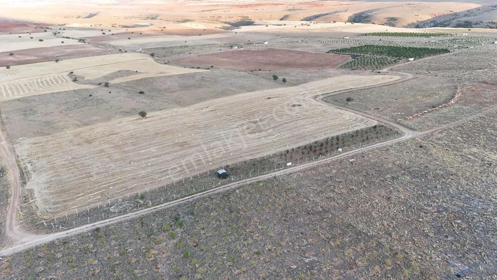 Net Emlak'tan Sızma Fevzi Çakmakta 20.578m² Kaçırılmayacak Tarla - Görsel 5