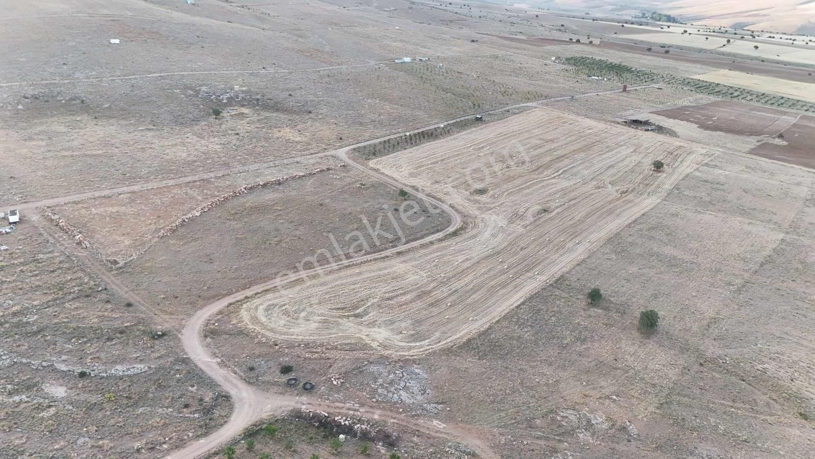 Net Emlak'tan Sızma Fevzi Çakmakta 20.578m² Kaçırılmayacak Tarla - Görsel 2