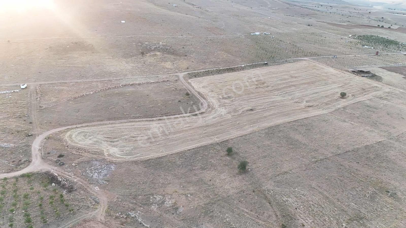 Net Emlak'tan Sızma Fevzi Çakmakta 20.578m² Kaçırılmayacak Tarla - Görsel 4
