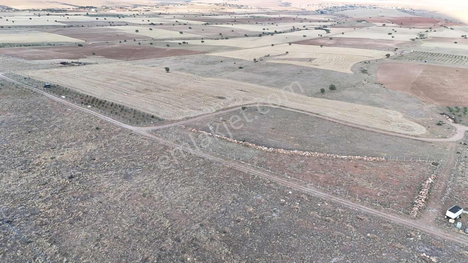 Net Emlak'tan Sızma Fevzi Çakmakta 20.578m² Kaçırılmayacak Tarla - Görsel 14