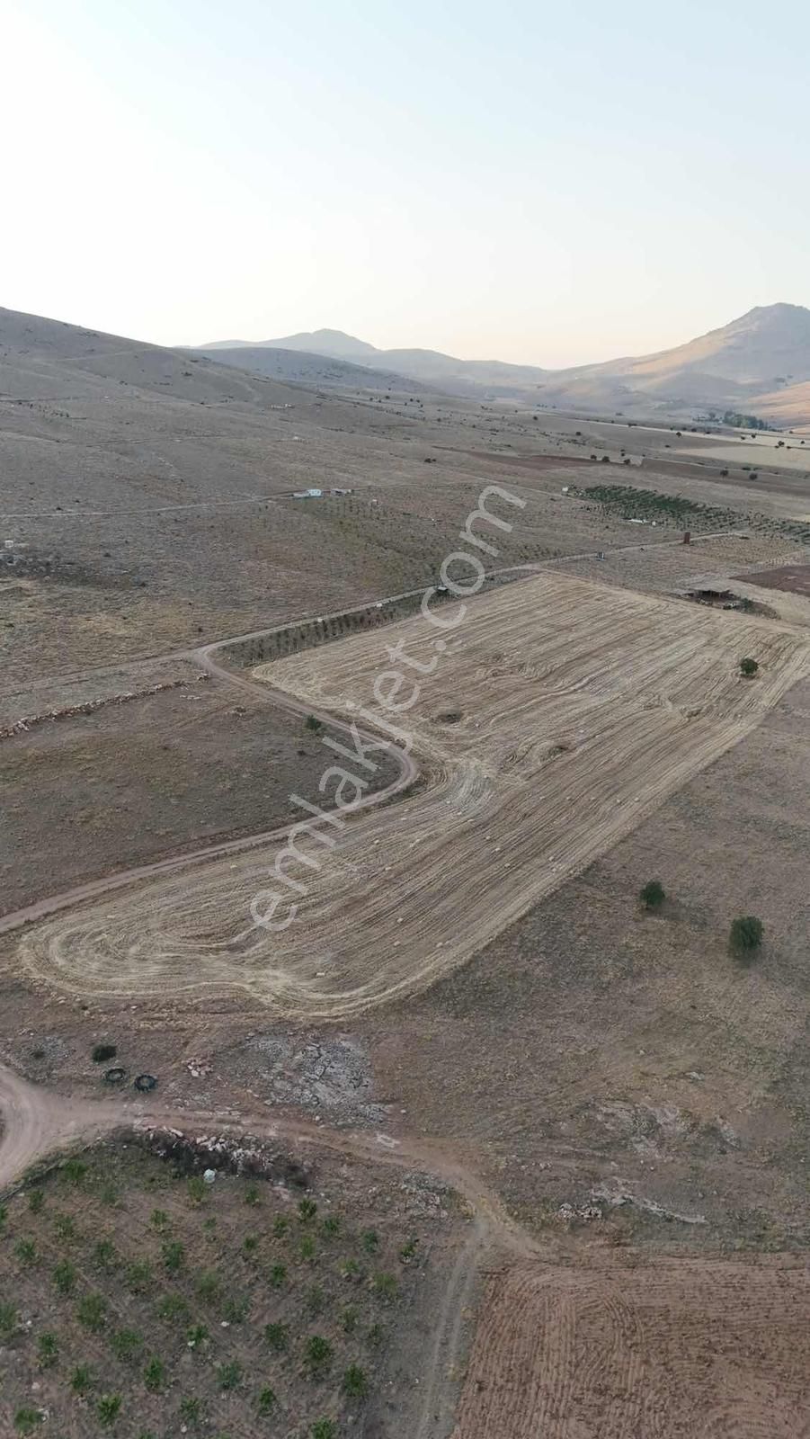 Net Emlak'tan Sızma Fevzi Çakmakta 20.578m² Kaçırılmayacak Tarla - Görsel 9