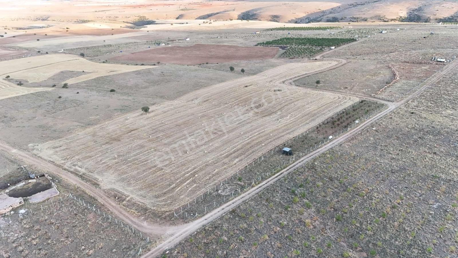 Net Emlak'tan Sızma Fevzi Çakmakta 20.578m² Kaçırılmayacak Tarla - Görsel 11