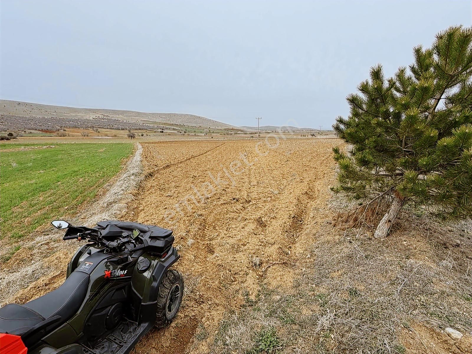 Net Emlaktan Şahörende Yola Sıfır Tarla 12.500 M² - Görsel 15