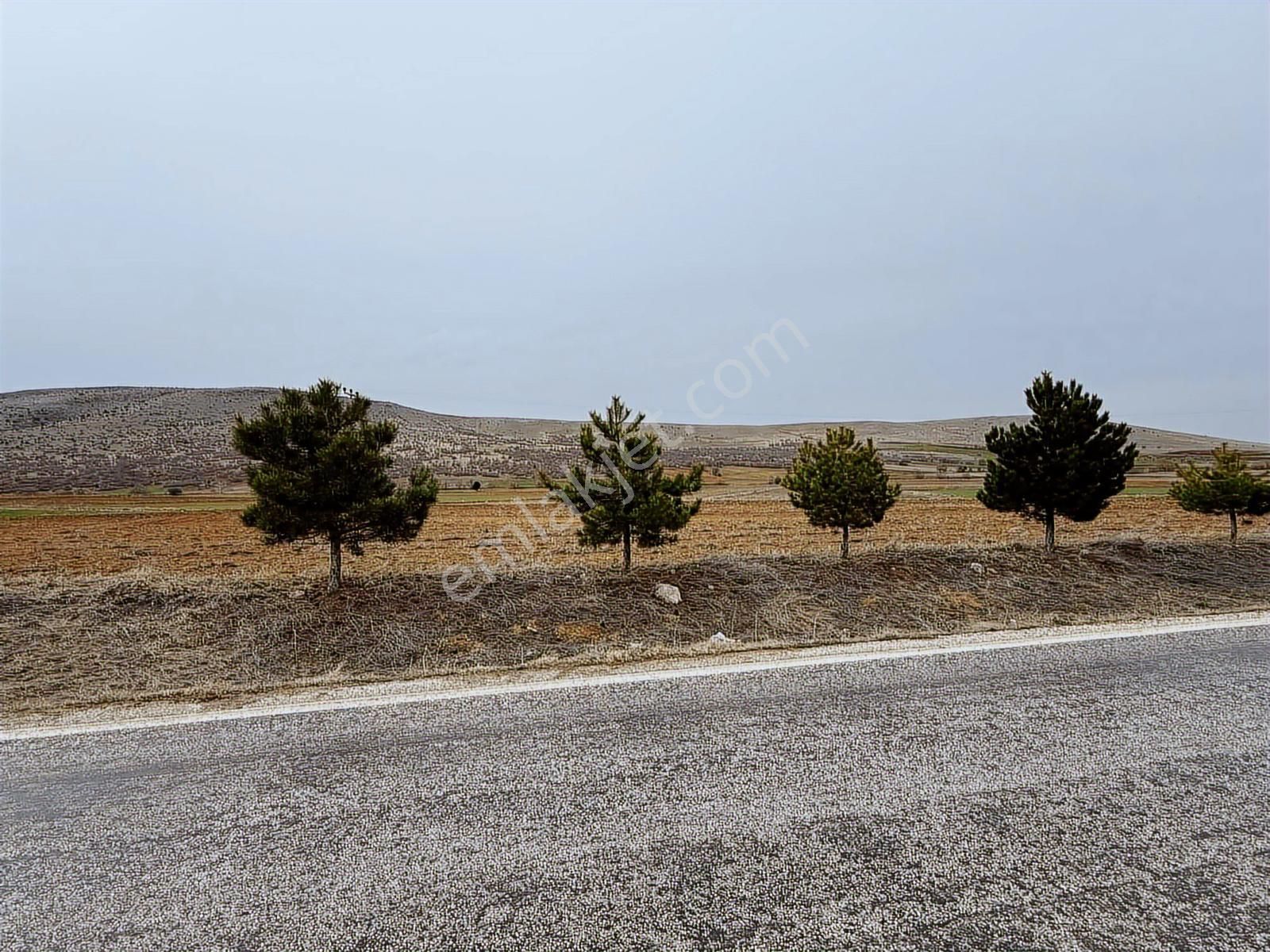 Net Emlaktan Şahörende Yola Sıfır Tarla 12.500 M² - Görsel 3