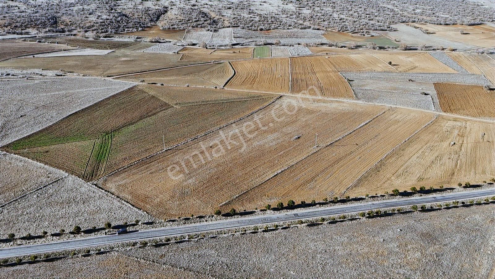 Net Emlaktan Şahörende Yola Sıfır Tarla 12.500 M² - Görsel 18