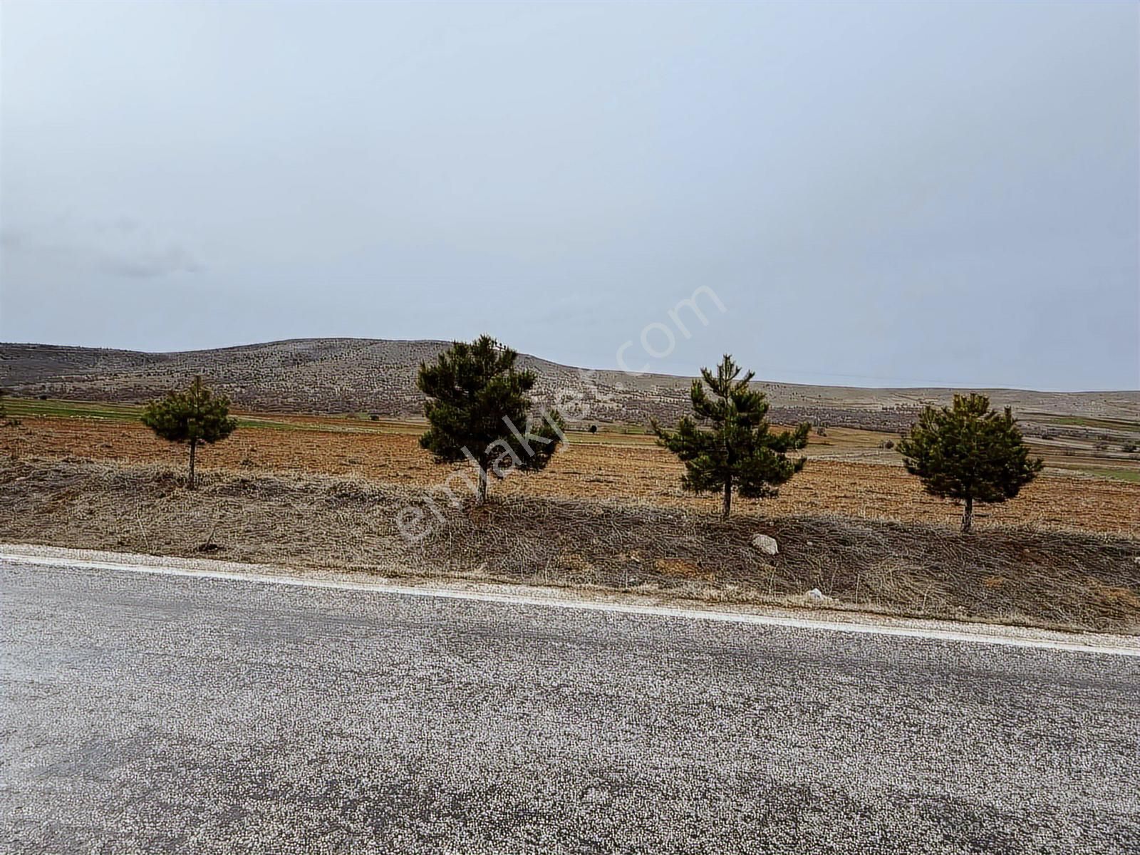Net Emlaktan Şahörende Yola Sıfır Tarla 12.500 M² - Görsel 12