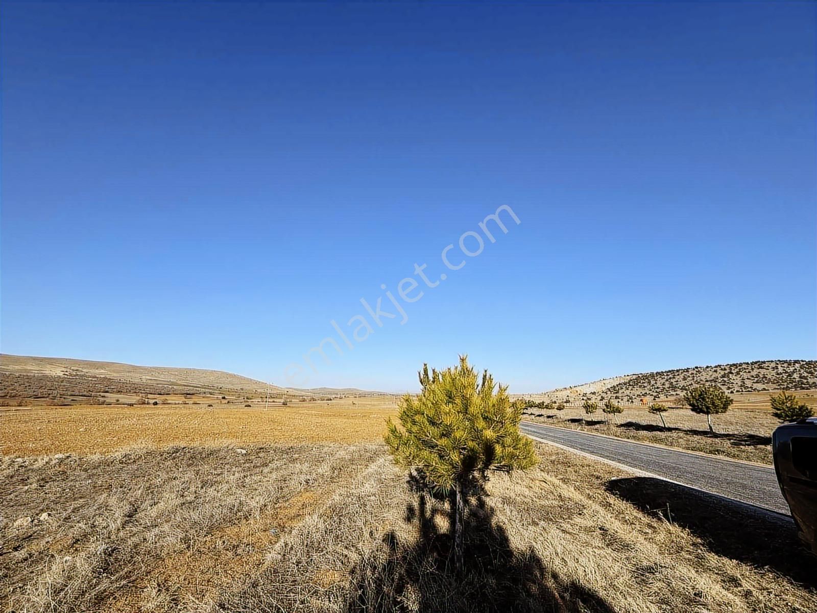 Net Emlaktan Şahörende Yola Sıfır Tarla 12.500 M² - Görsel 9
