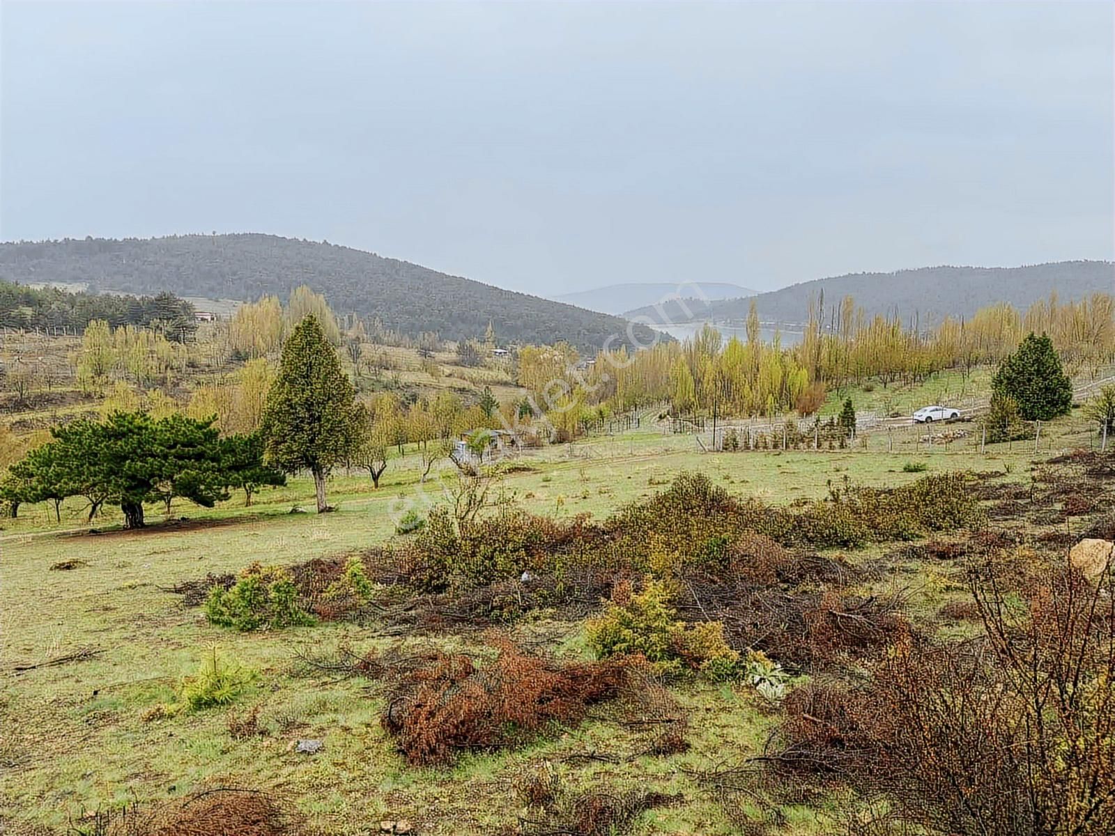 Net Emlaktan Ormanın İçinde Göl Manzaralı Fırsat Bahçe Yeri - Görsel 17
