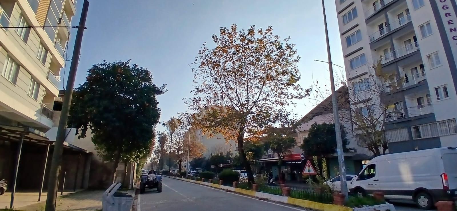 Aydın Nazilli Sümer Eşyalı Satılık 1+1 Daire - Görsel 6