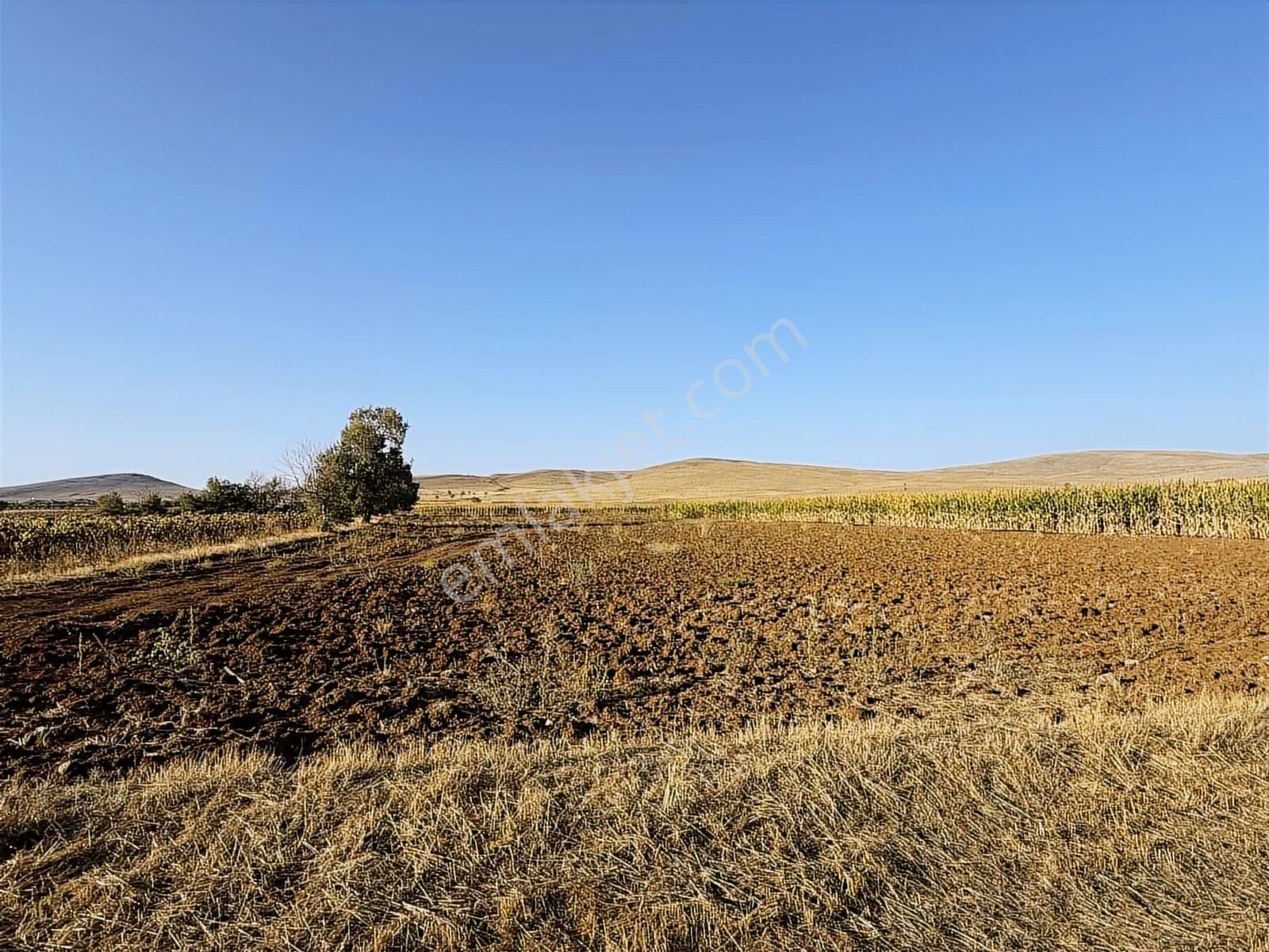 Net Emlaktan Müstakil Toplam 8.550 M2 Tarla - Görsel 9