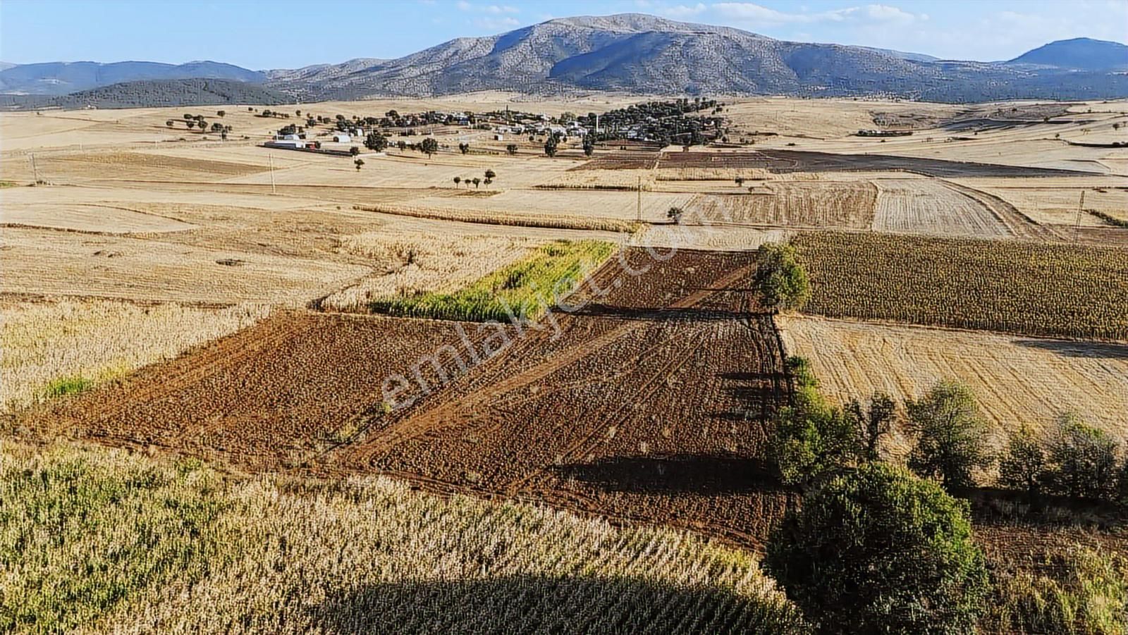 Net Emlaktan Müstakil Toplam 8.550 M2 Tarla