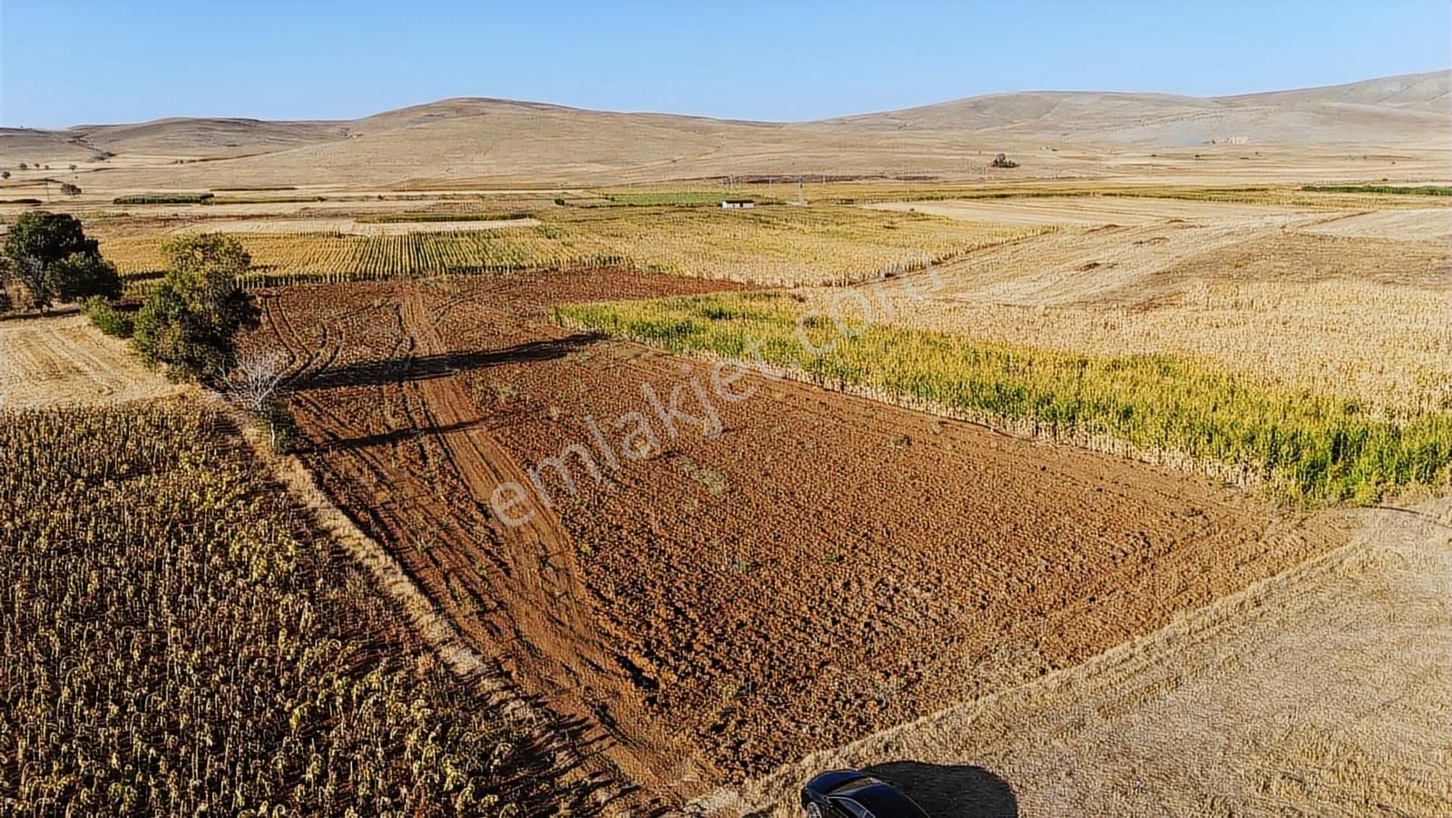 Net Emlaktan Müstakil Toplam 8.550 M2 Tarla - Görsel 3
