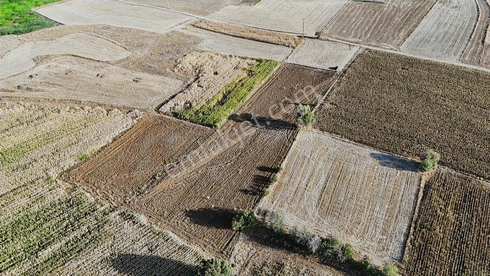 Net Emlaktan Müstakil Toplam 8.550 M2 Tarla - Görsel 16