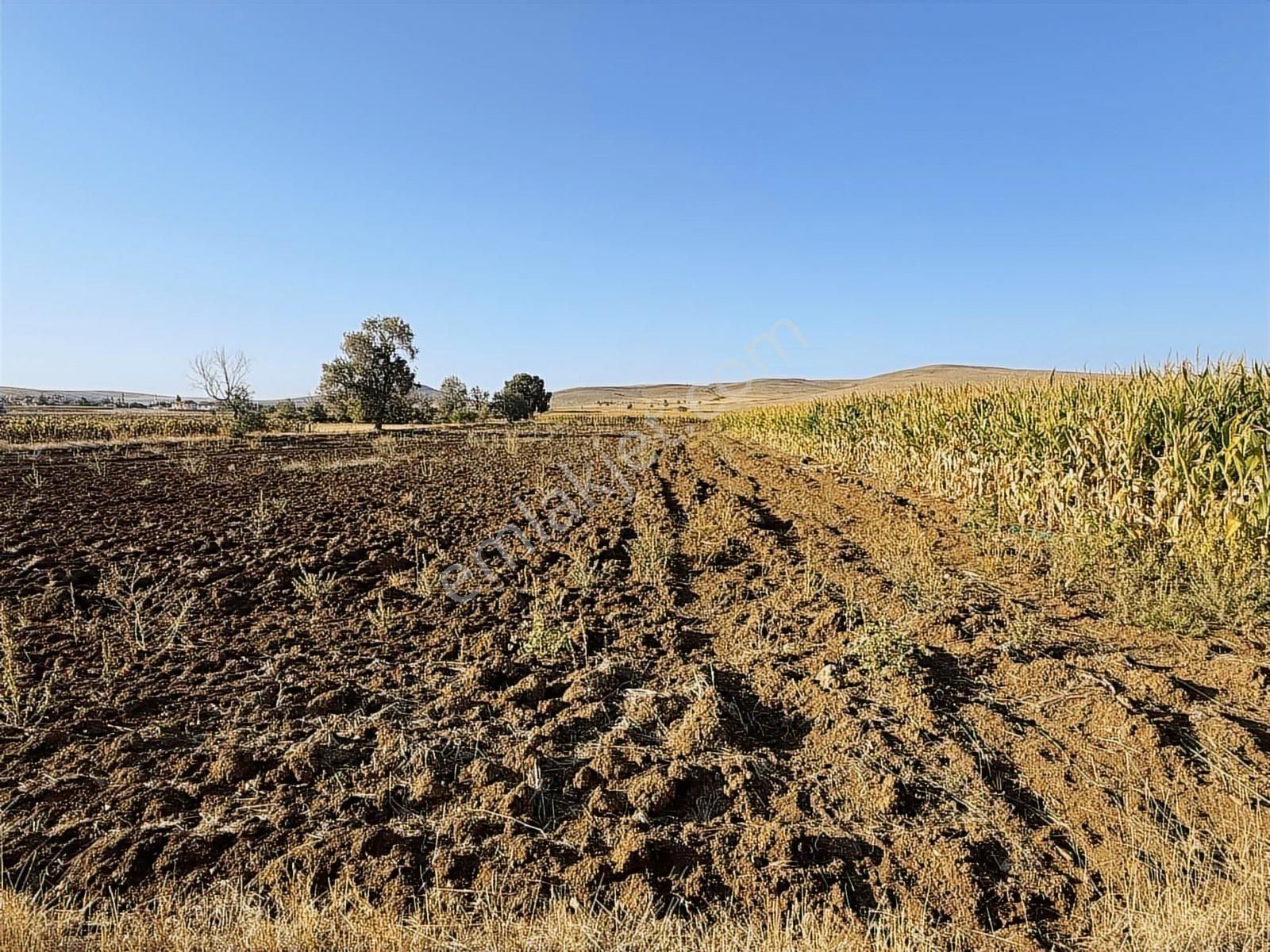 Net Emlaktan Müstakil Toplam 8.550 M2 Tarla - Görsel 8