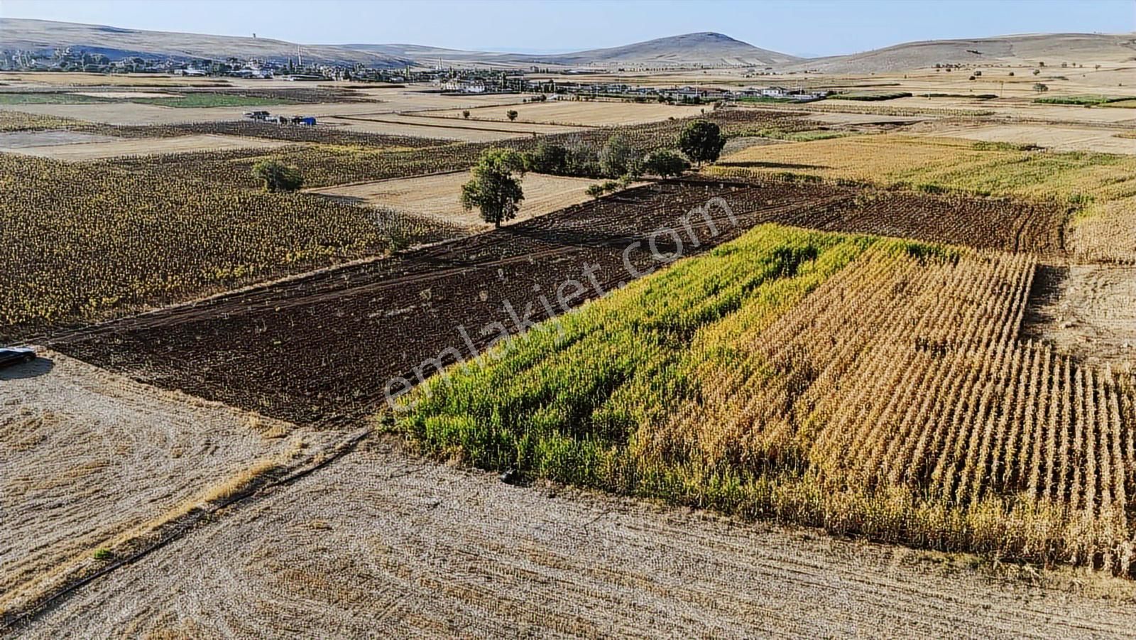 Net Emlaktan Müstakil Toplam 8.550 M2 Tarla - Görsel 14