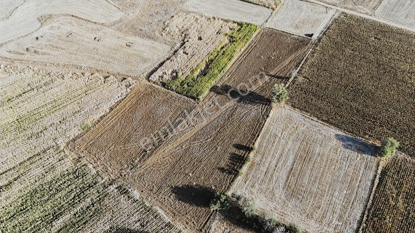 Net Emlaktan Müstakil Toplam 8.550 M2 Tarla - Görsel 21