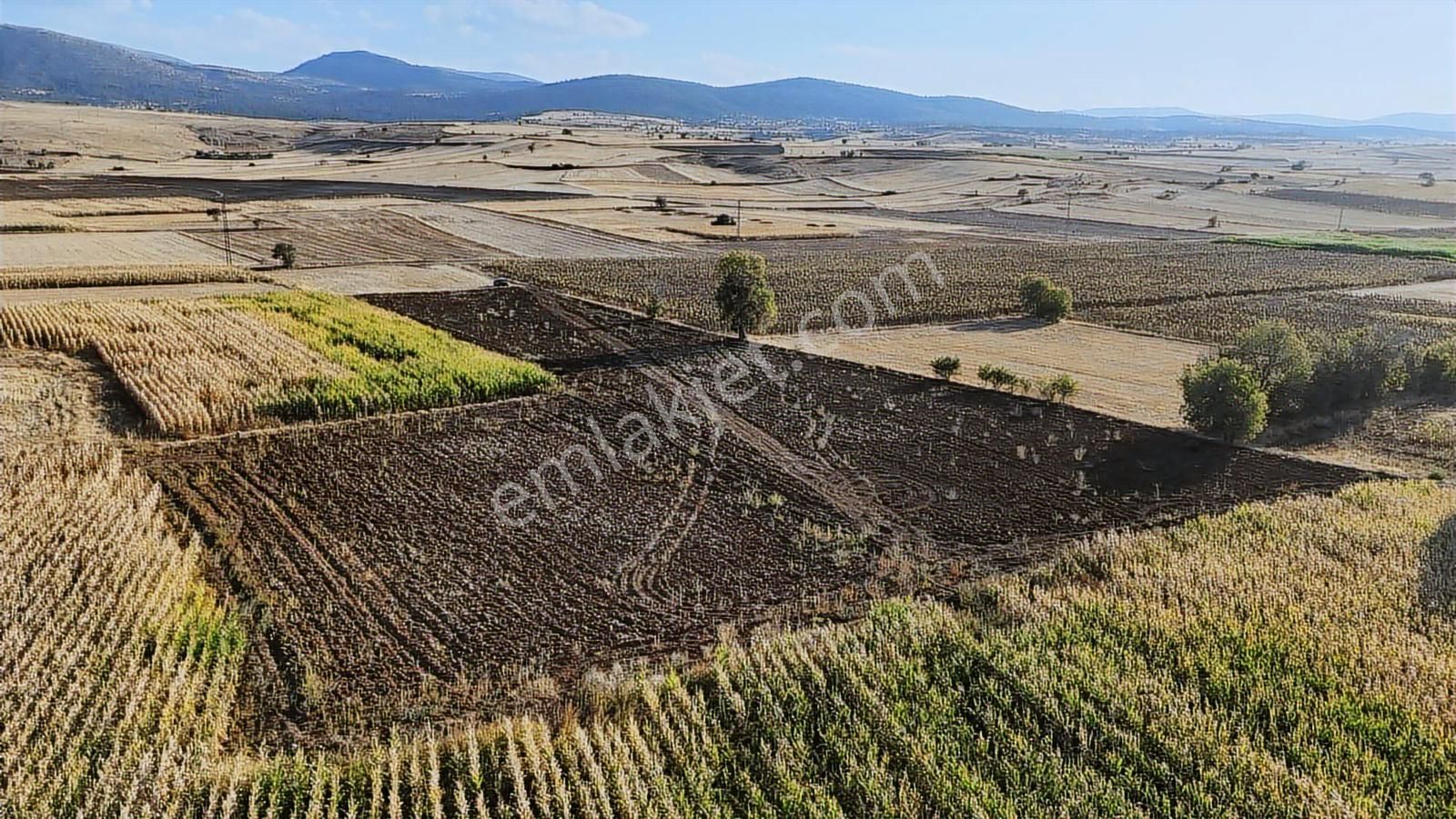 Net Emlaktan Müstakil Toplam 8.550 M2 Tarla - Görsel 24