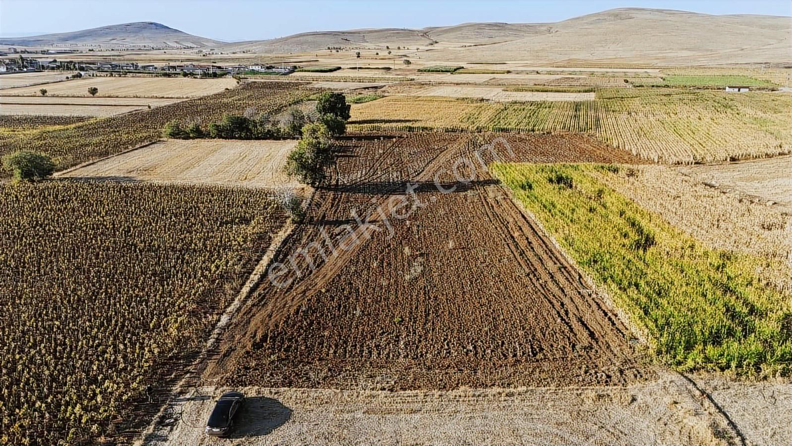 Net Emlaktan Müstakil Toplam 8.550 M2 Tarla - Görsel 5