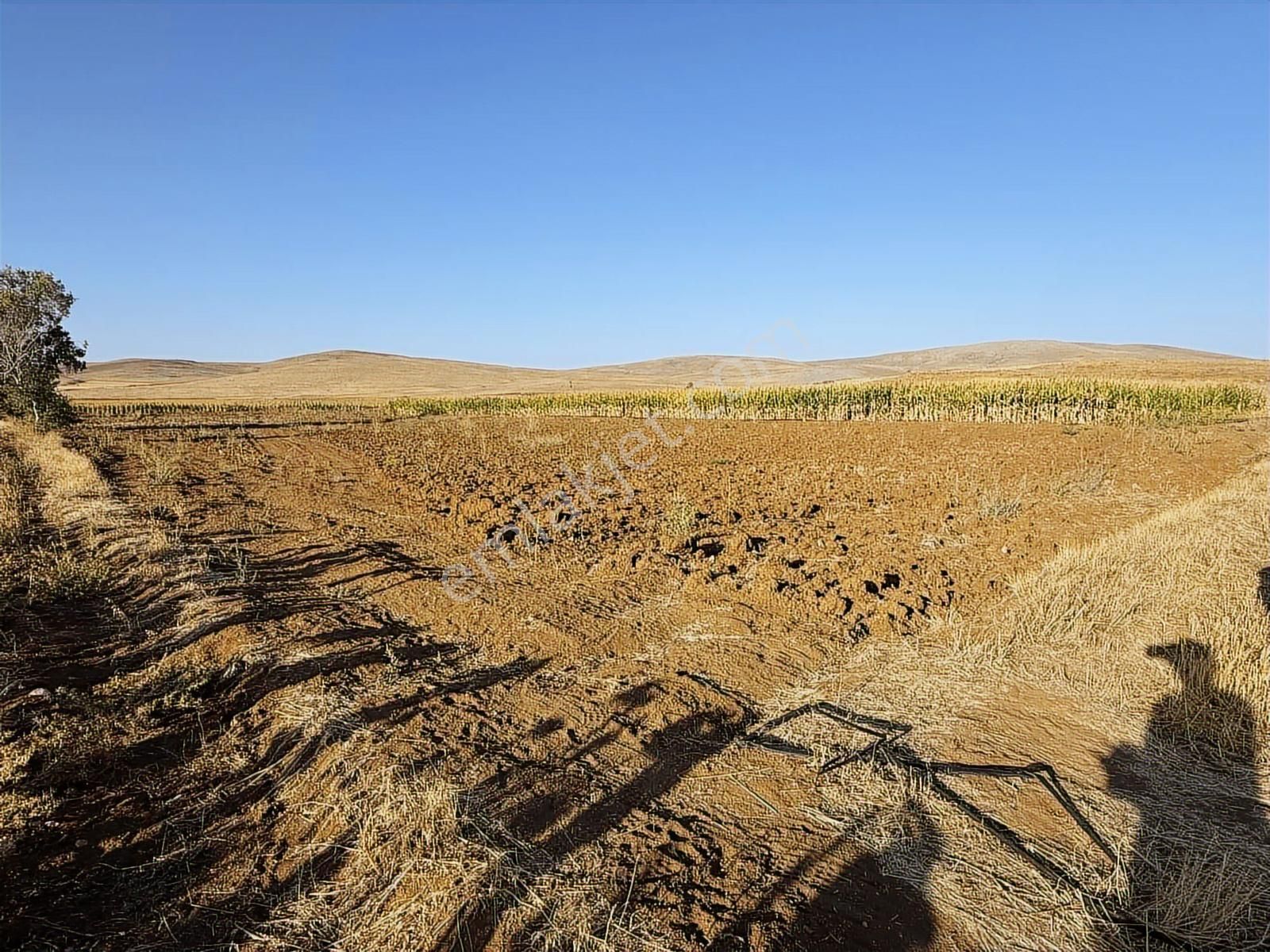 Net Emlaktan Müstakil Toplam 8.550 M2 Tarla - Görsel 11