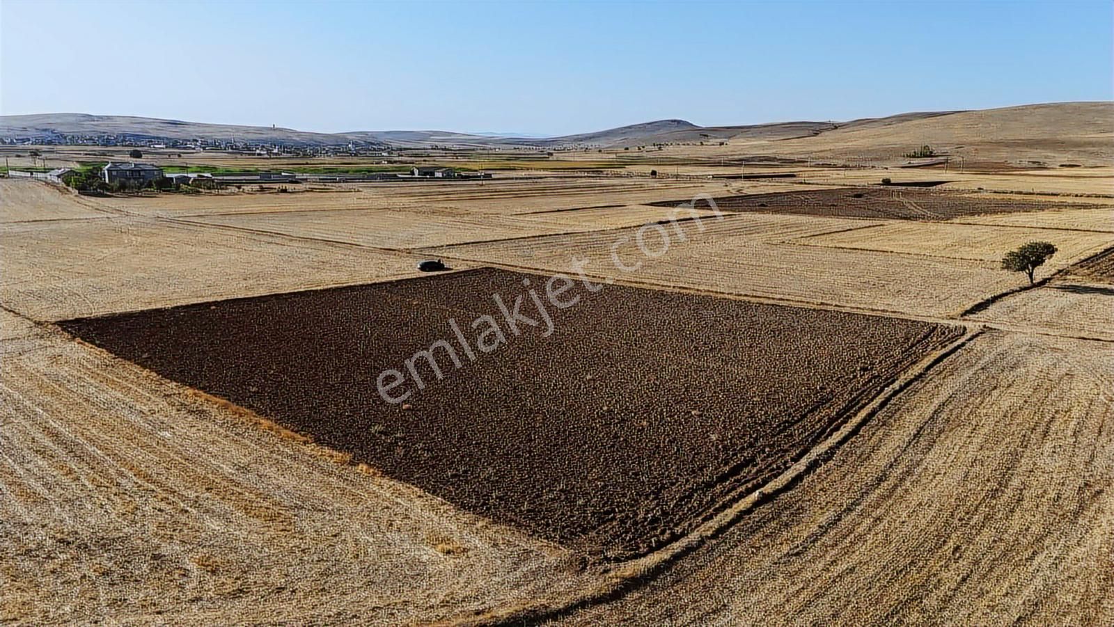 Net Emlaktan Kadınhanı Pirali Mahallesi 5.500 M2 Müstakil Tarla - Görsel 14