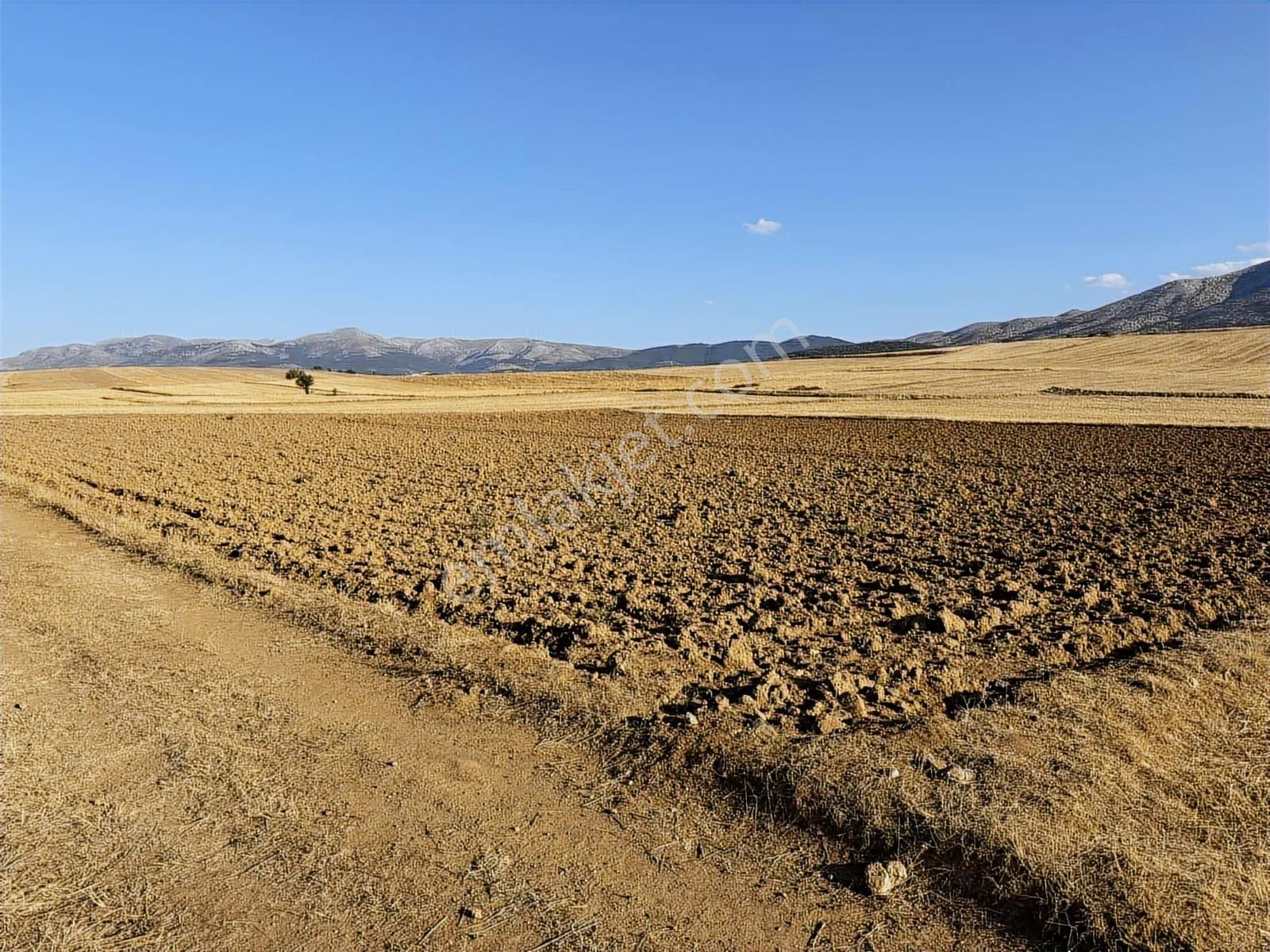 Net Emlaktan Kadınhanı Pirali Mahallesi 5.500 M2 Müstakil Tarla - Görsel 9