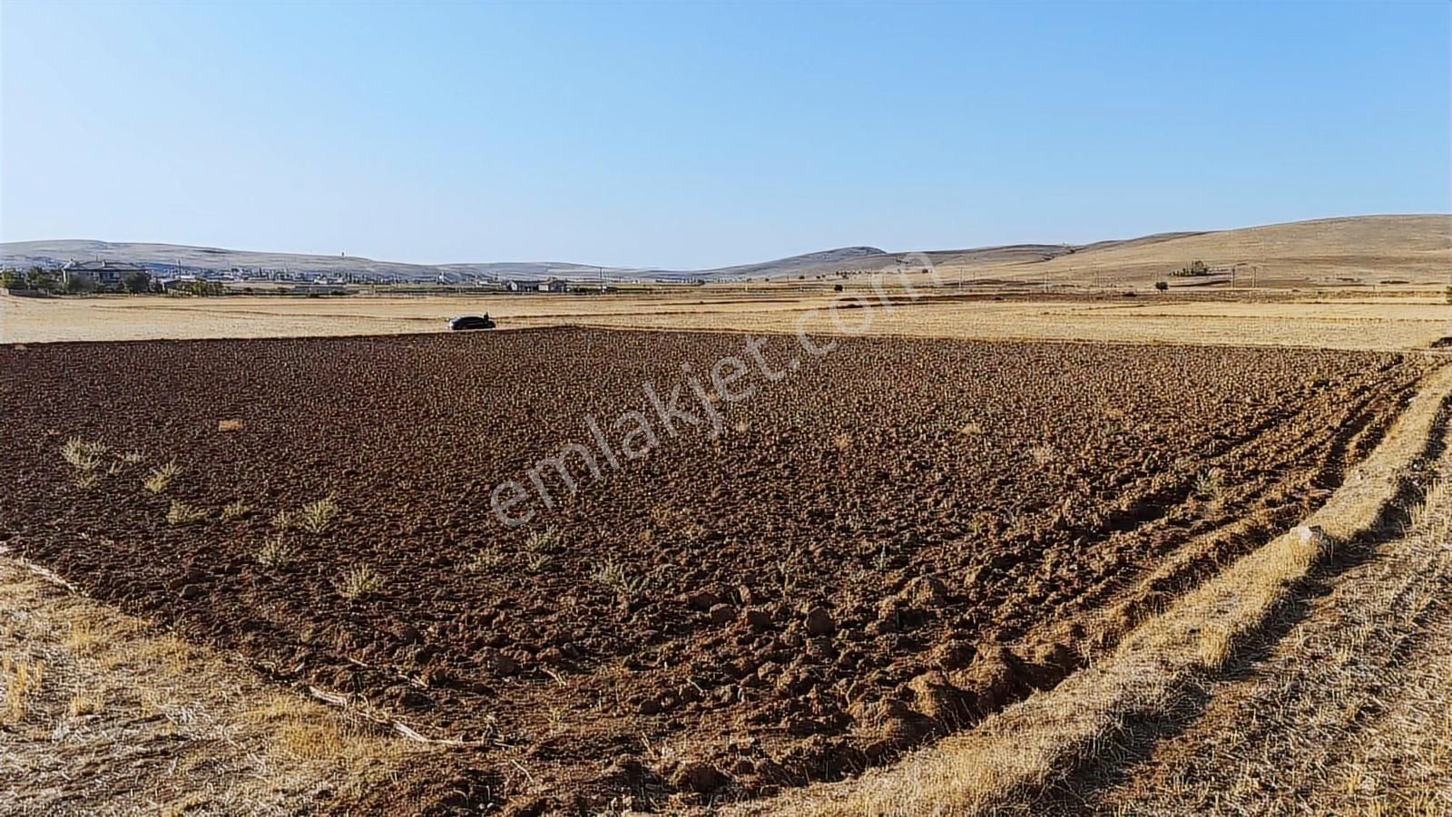 Net Emlaktan Kadınhanı Pirali Mahallesi 5.500 M2 Müstakil Tarla - Görsel 5