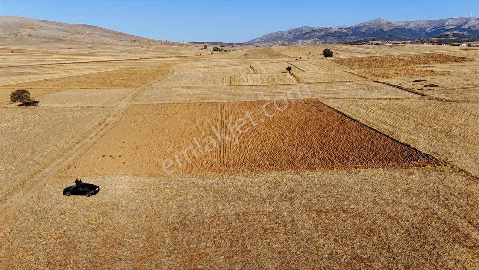 Net Emlaktan Kadınhanı Pirali Mahallesi 5.500 M2 Müstakil Tarla - Görsel 6