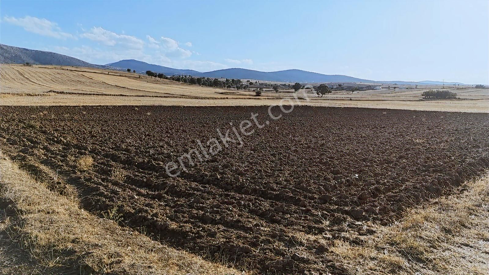 Net Emlaktan Kadınhanı Pirali Mahallesi 5.500 M2 Müstakil Tarla - Görsel 17