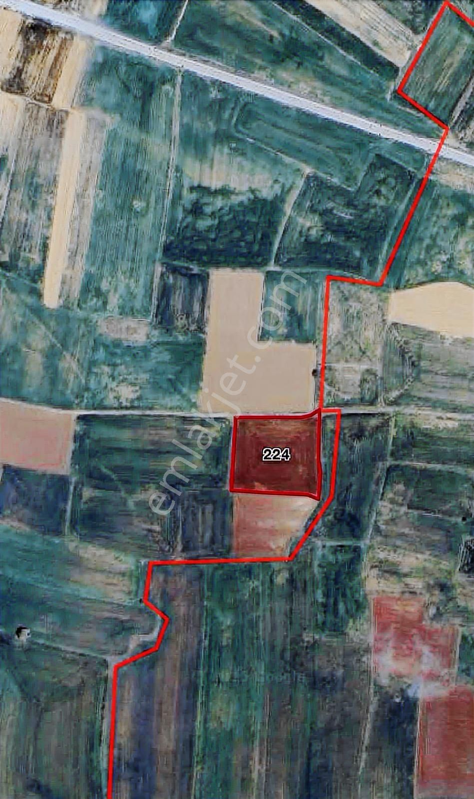 Net Emlaktan Kadınhanı Pirali Mahallesi 5.500 M2 Müstakil Tarla - Görsel 13