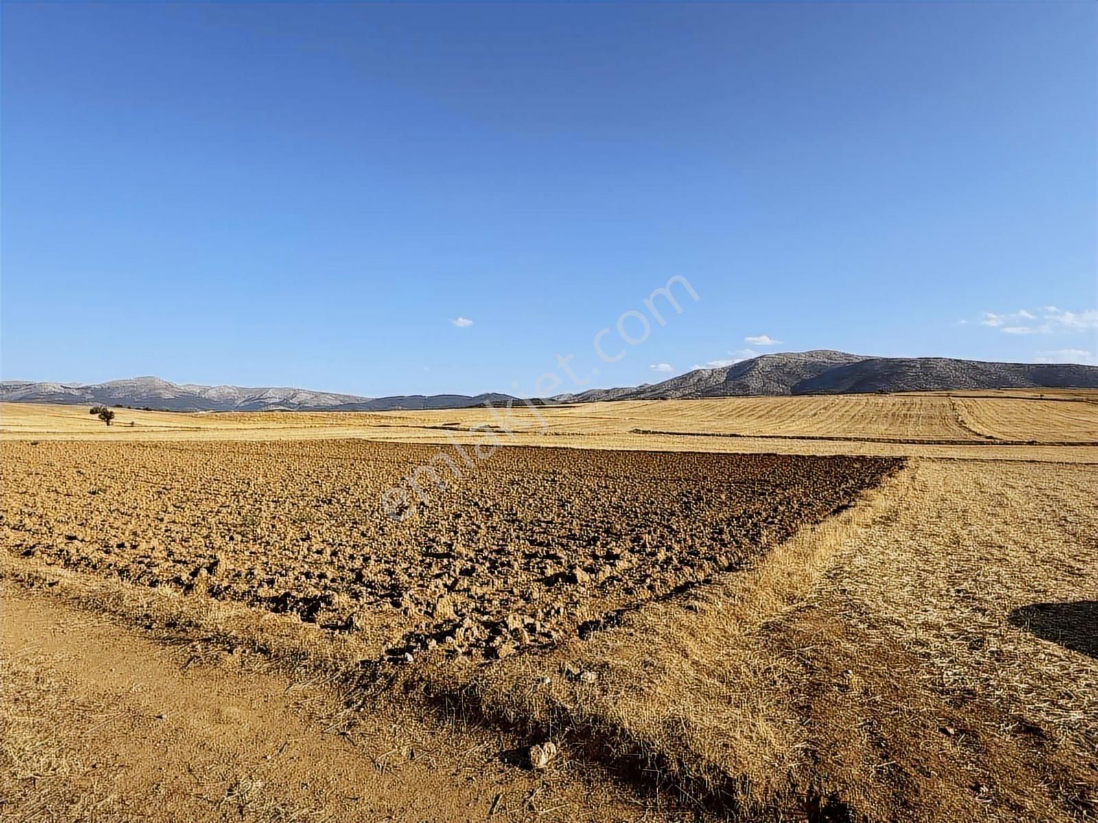 Net Emlaktan Kadınhanı Pirali Mahallesi 5.500 M2 Müstakil Tarla - Görsel 19