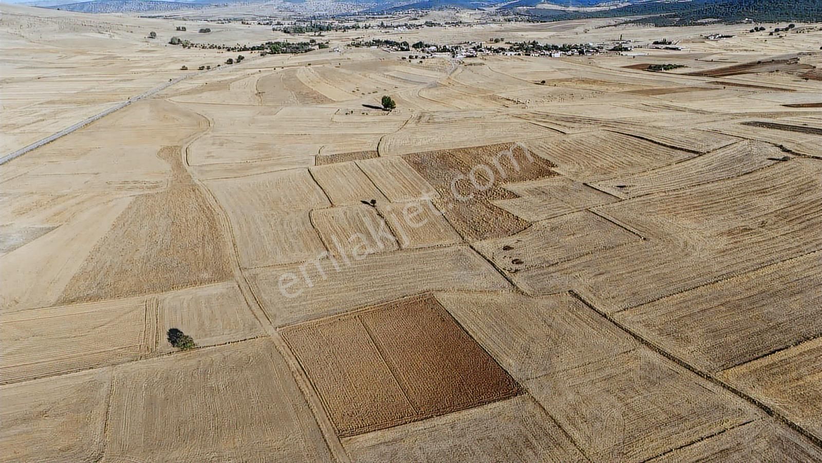 Net Emlaktan Kadınhanı Pirali Mahallesi 5.500 M2 Müstakil Tarla - Görsel 24