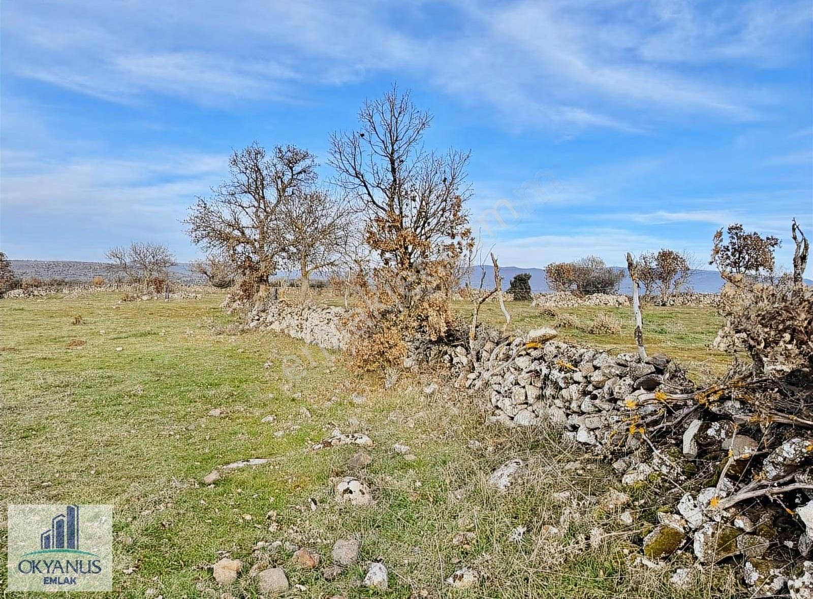 Karahüseyinli De 11.250 M2 Tarla , Yolu Var , Köye Yakın - Görsel 9