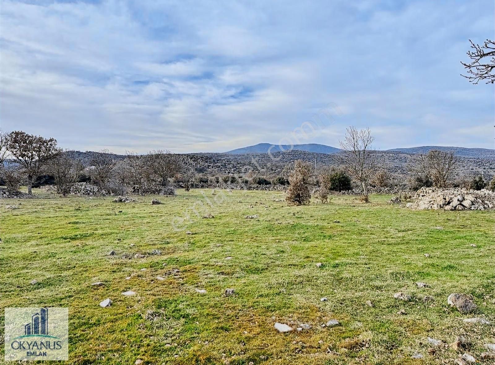 Karahüseyinli De 11.250 M2 Tarla , Yolu Var , Köye Yakın - Görsel 14