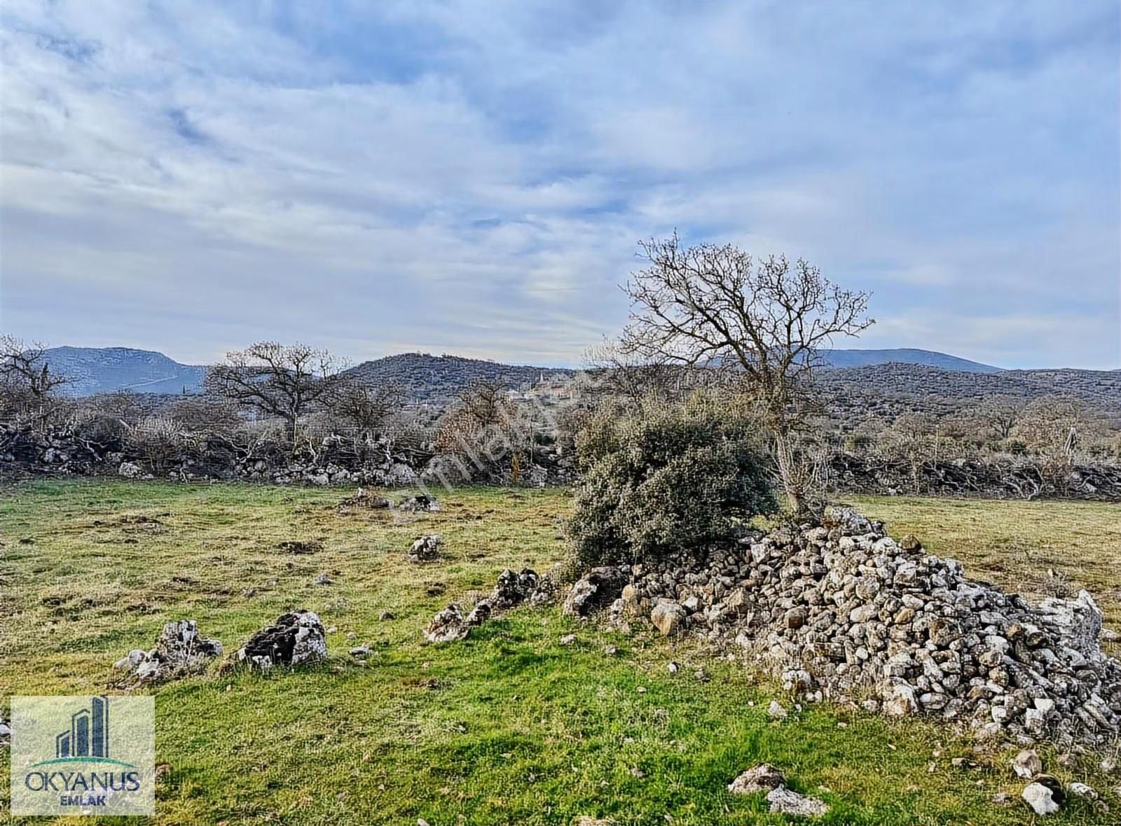 Karahüseyinli De 11.250 M2 Tarla , Yolu Var , Köye Yakın - Görsel 20