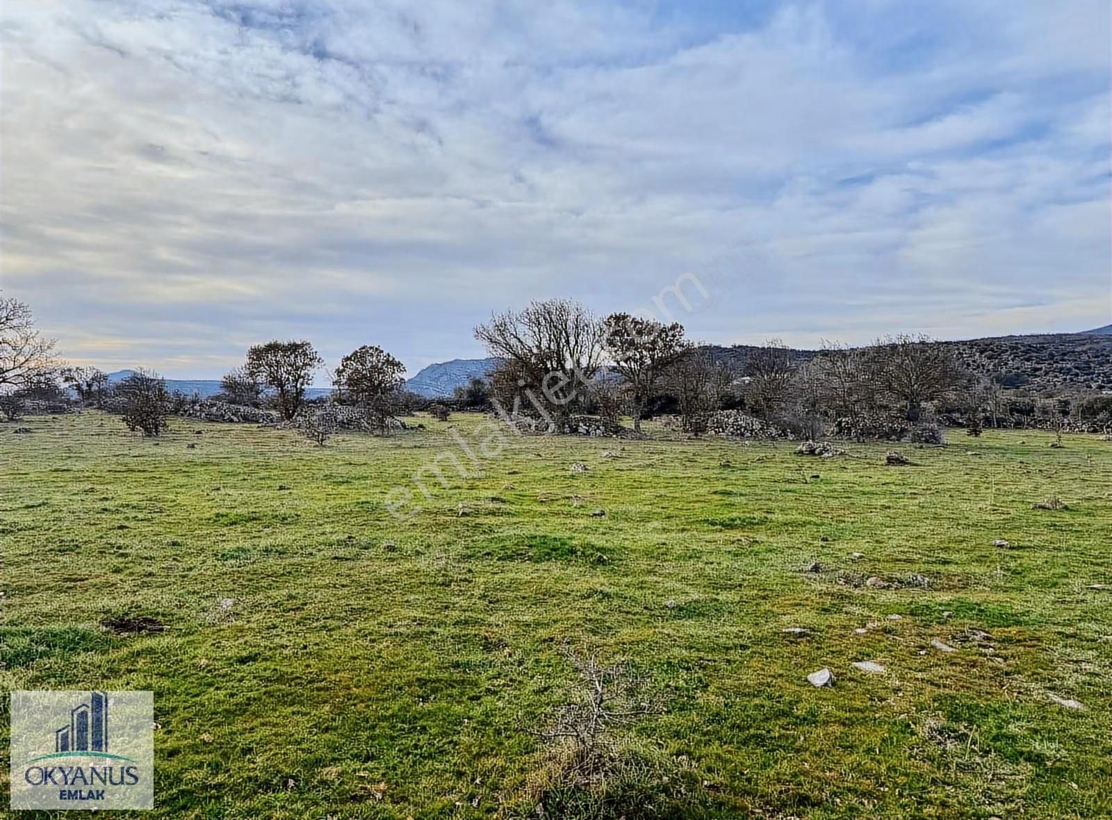 Karahüseyinli De 11.250 M2 Tarla , Yolu Var , Köye Yakın - Görsel 22