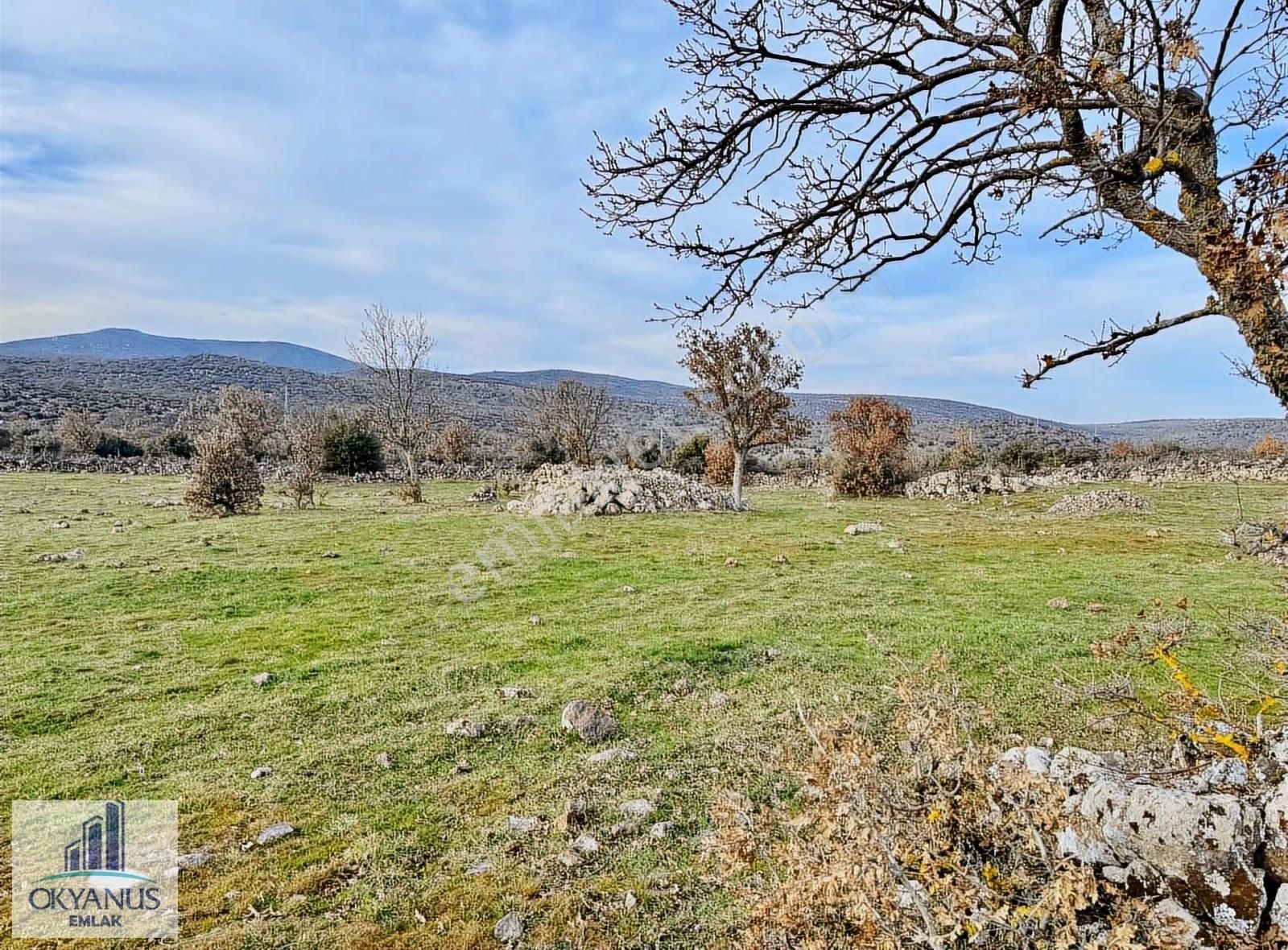 Karahüseyinli De 11.250 M2 Tarla , Yolu Var , Köye Yakın - Görsel 5