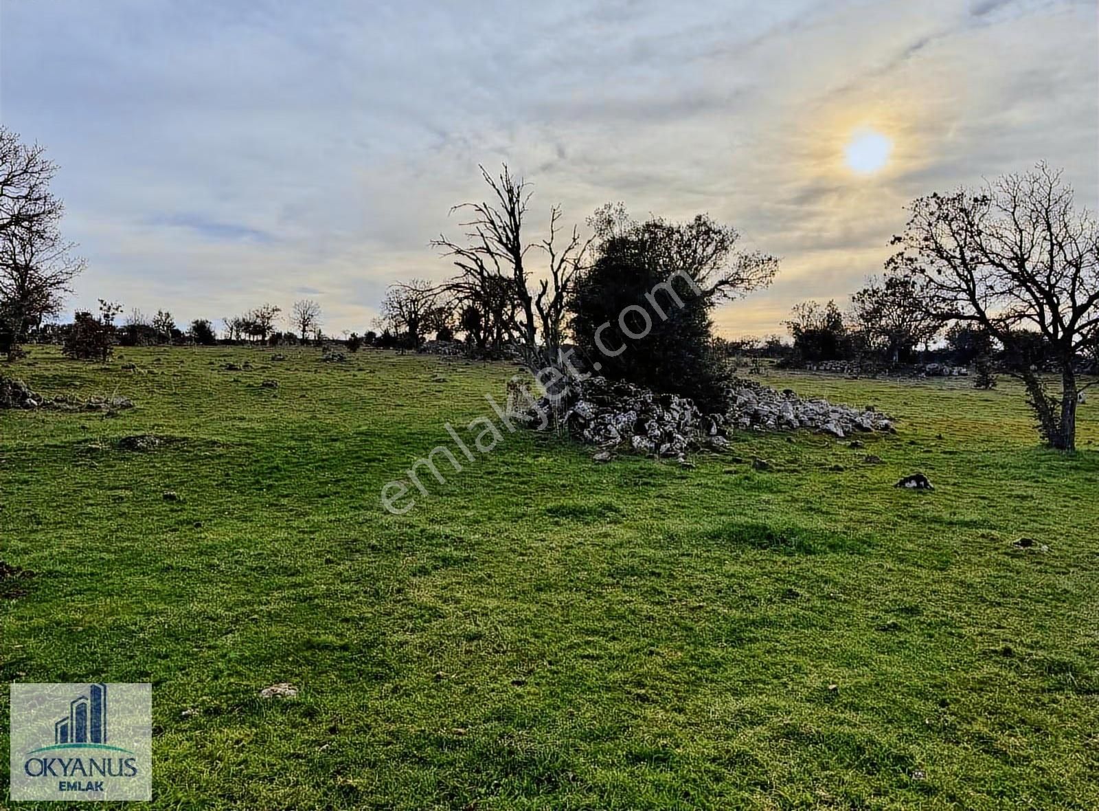 Karahüseyinli De 11.250 M2 Tarla , Yolu Var , Köye Yakın - Görsel 27