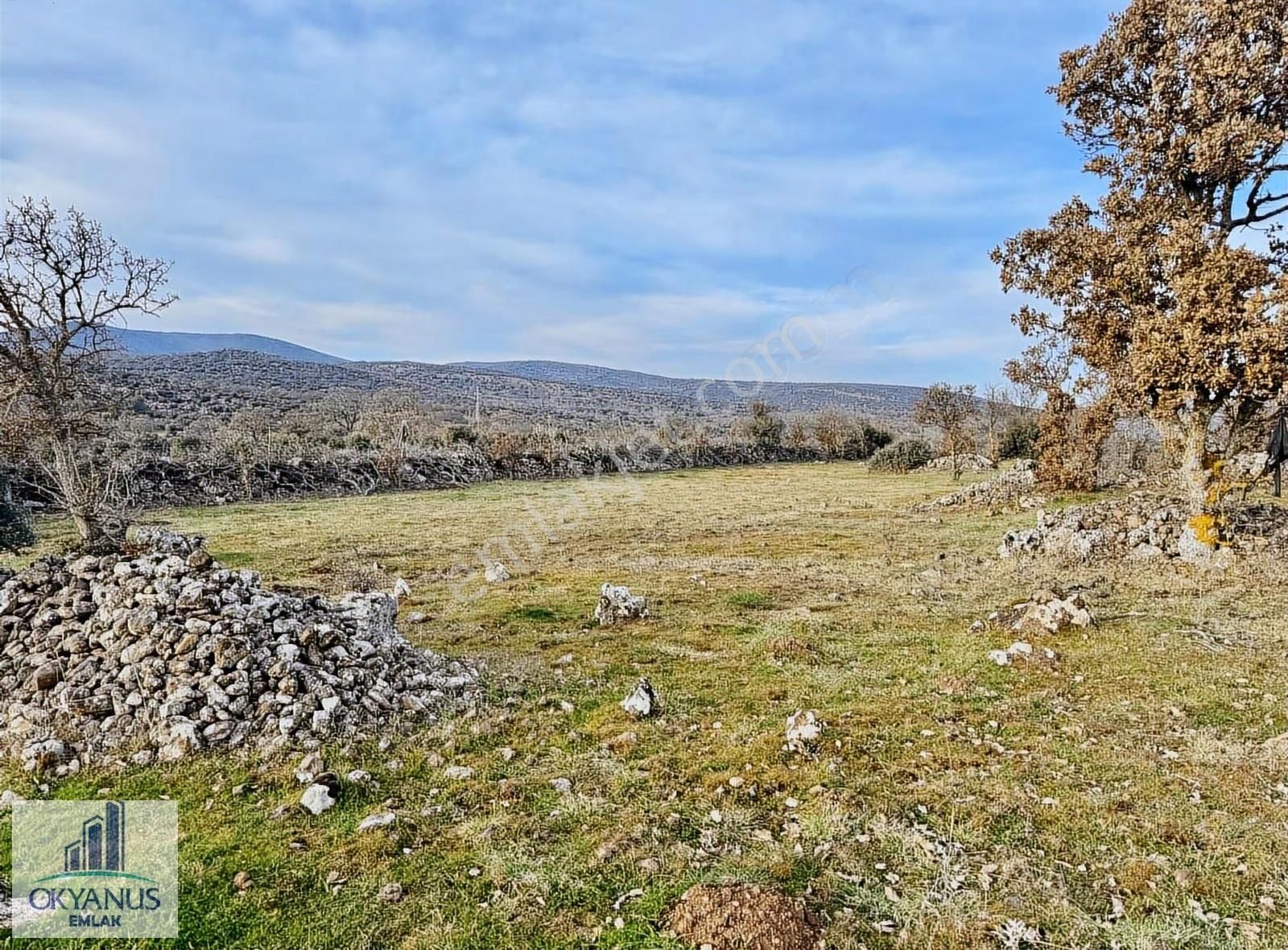 Karahüseyinli De 11.250 M2 Tarla , Yolu Var , Köye Yakın - Görsel 12