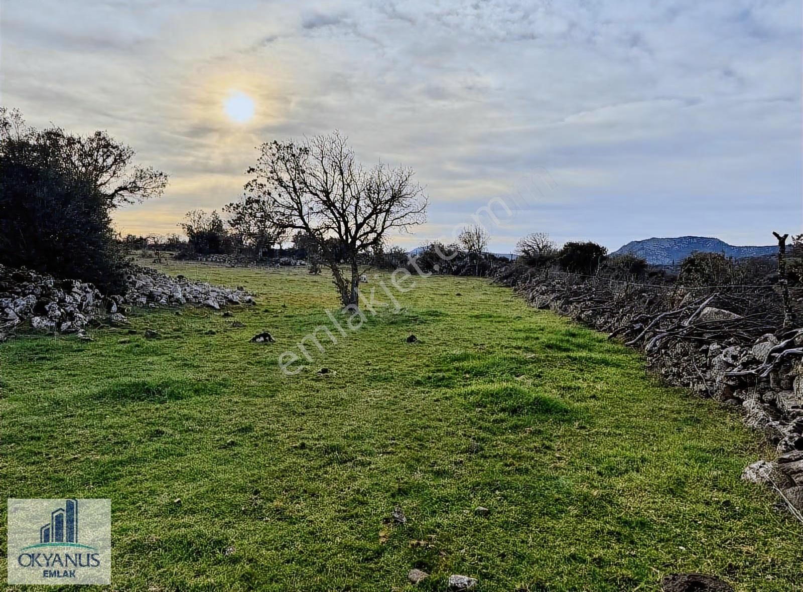 Karahüseyinli De 11.250 M2 Tarla , Yolu Var , Köye Yakın - Görsel 6