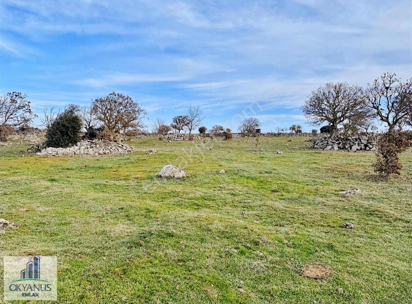 Karahüseyinli De 11.250 M2 Tarla , Yolu Var , Köye Yakın - Görsel 13