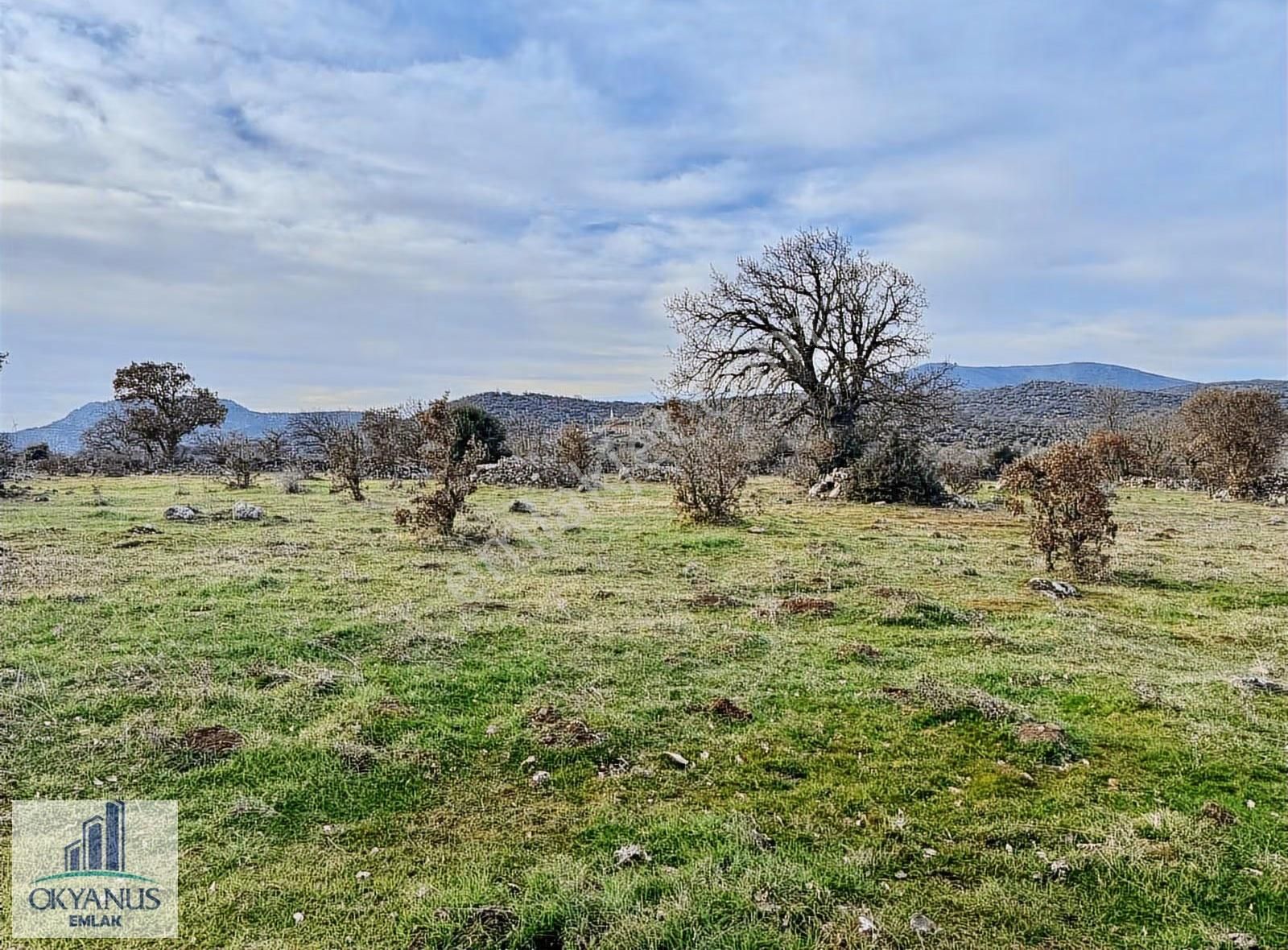 Karahüseyinli De 11.250 M2 Tarla , Yolu Var , Köye Yakın - Görsel 28